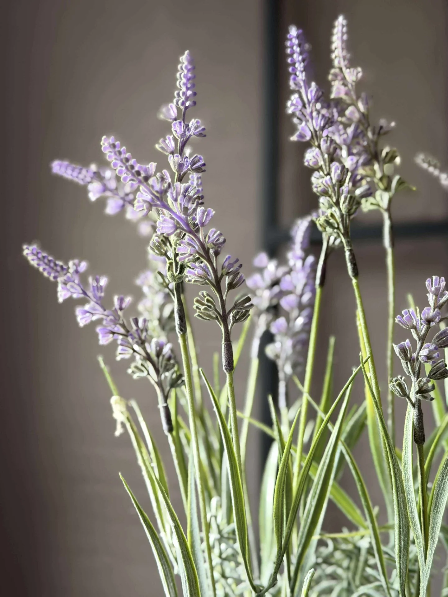 Blomst i potte - Image 7