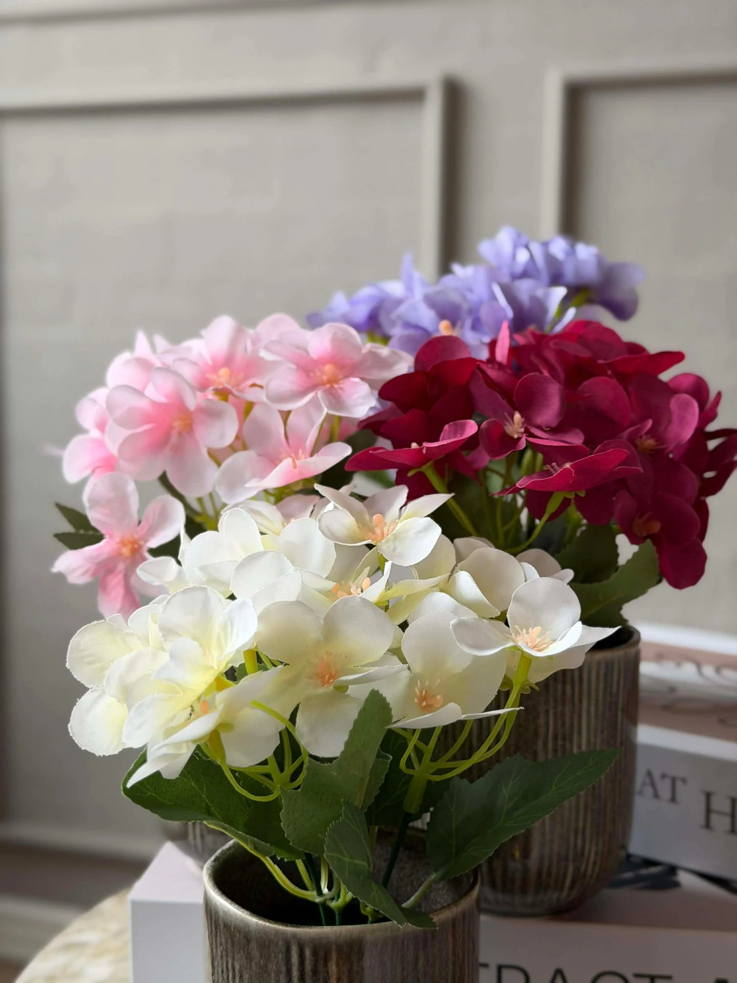Mini hortensia i potte - flere farger - Image 3