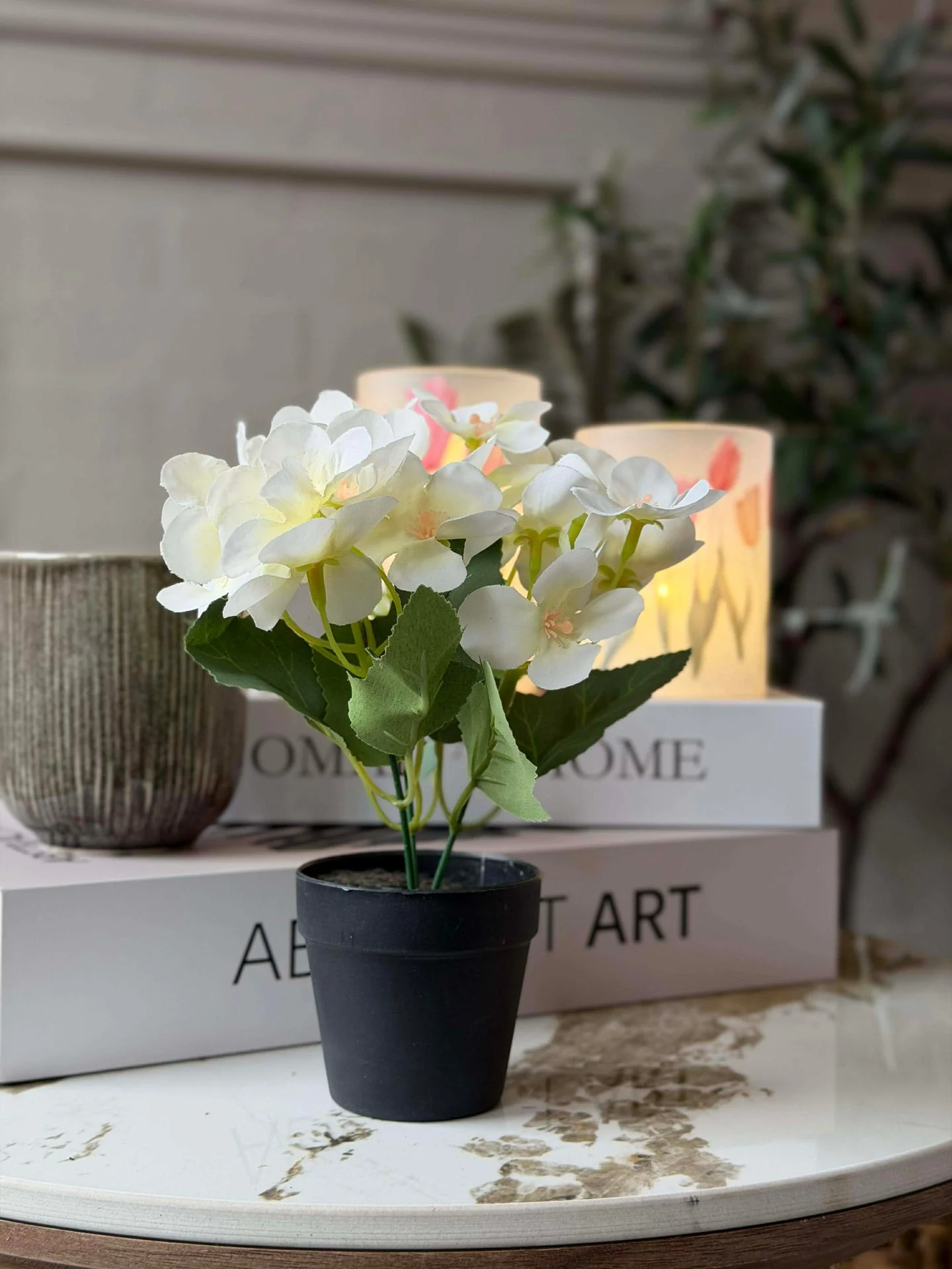Mini hortensia i potte - flere farger - Image 7