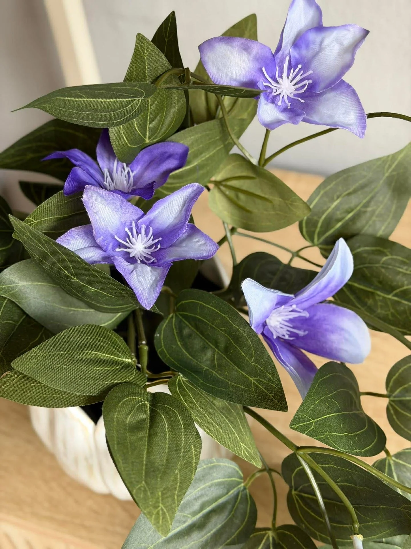 Hengende plante - flere farger - Image 10