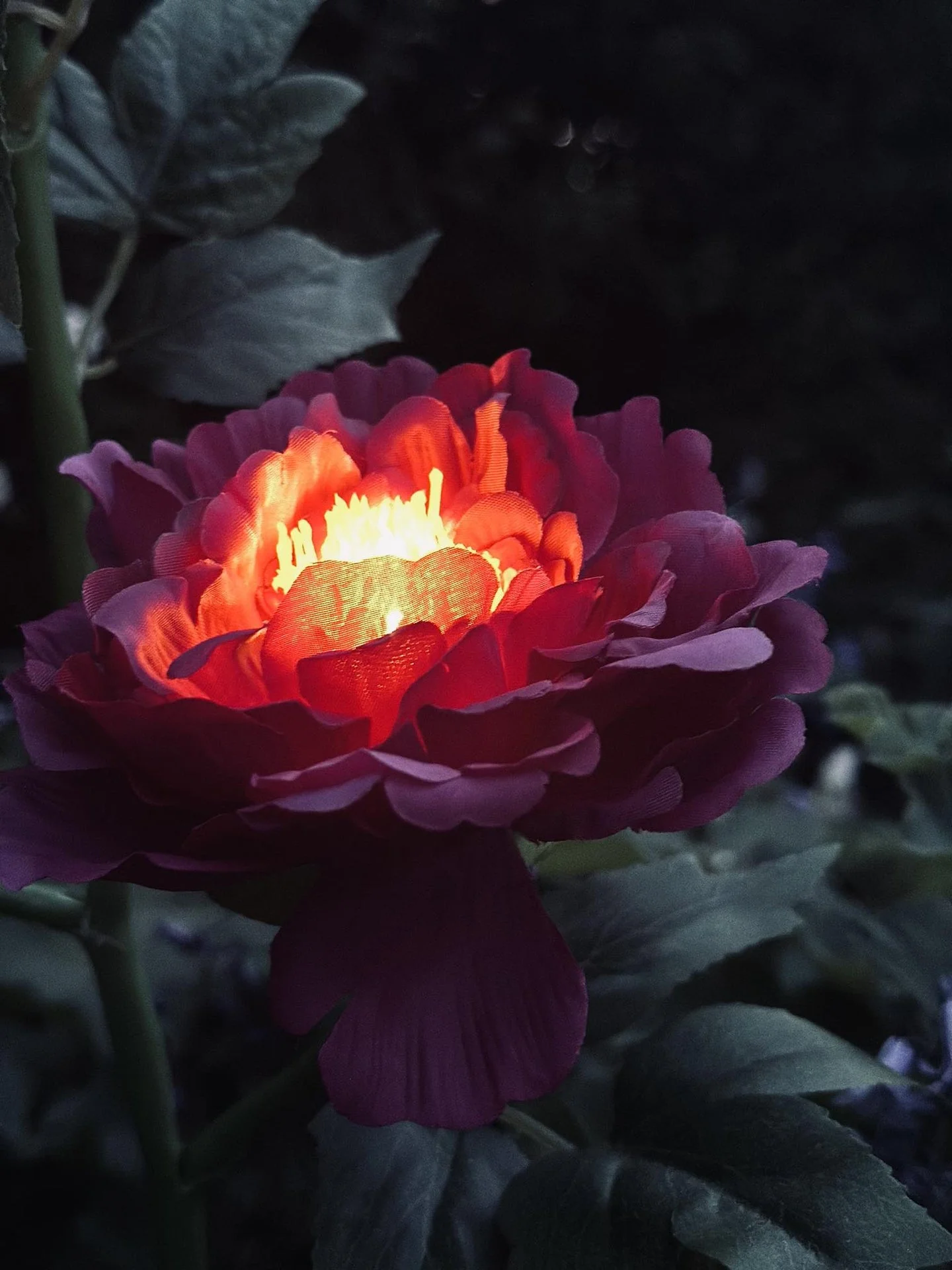 Blomst med solceller – Rosa - Image 6