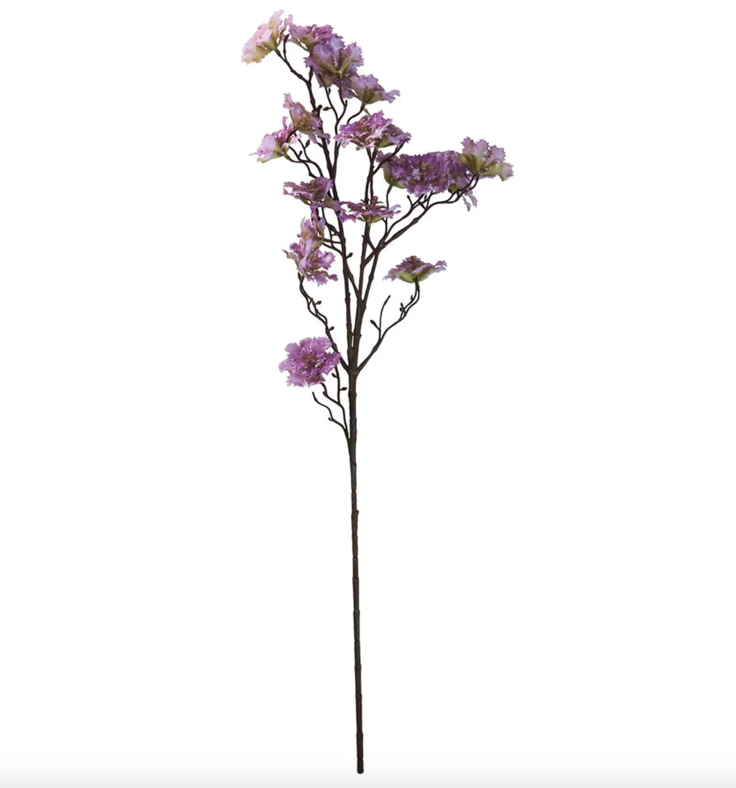 Blomst nellike - Image 12