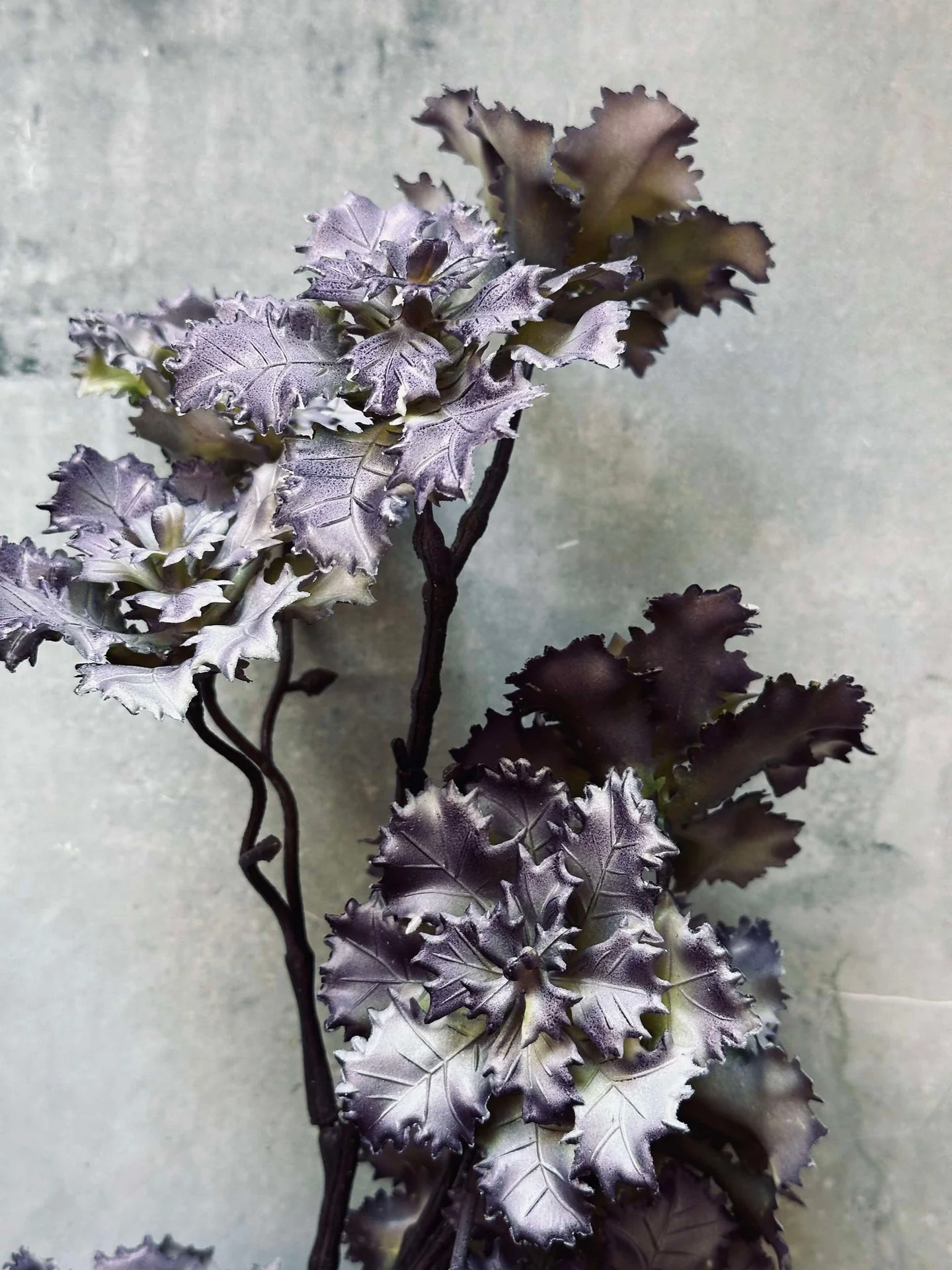 Blomst nellike - Image 7