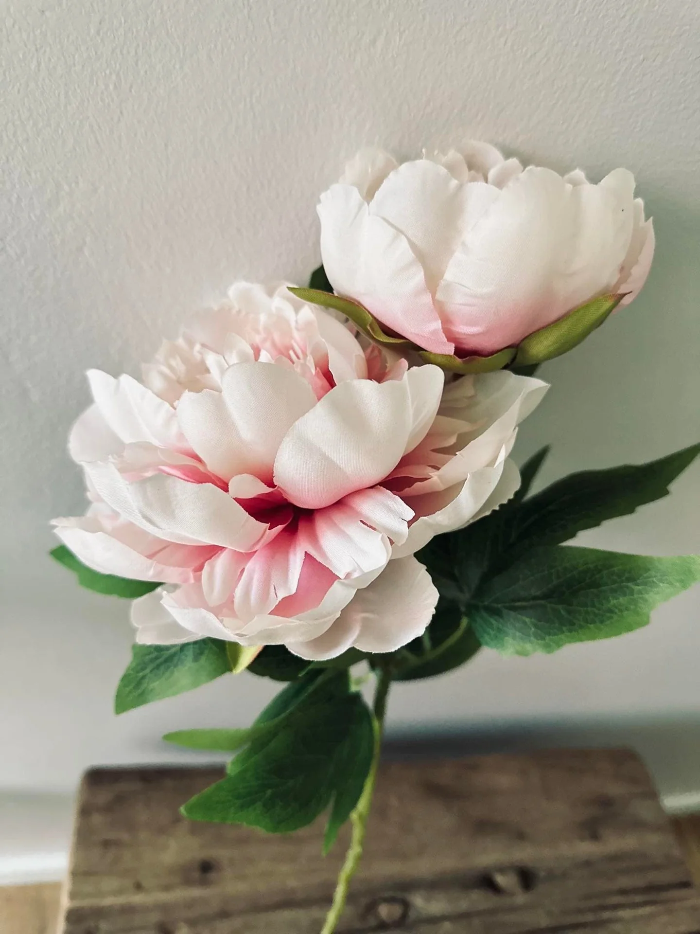 Blomst Pæon pink - Image 6