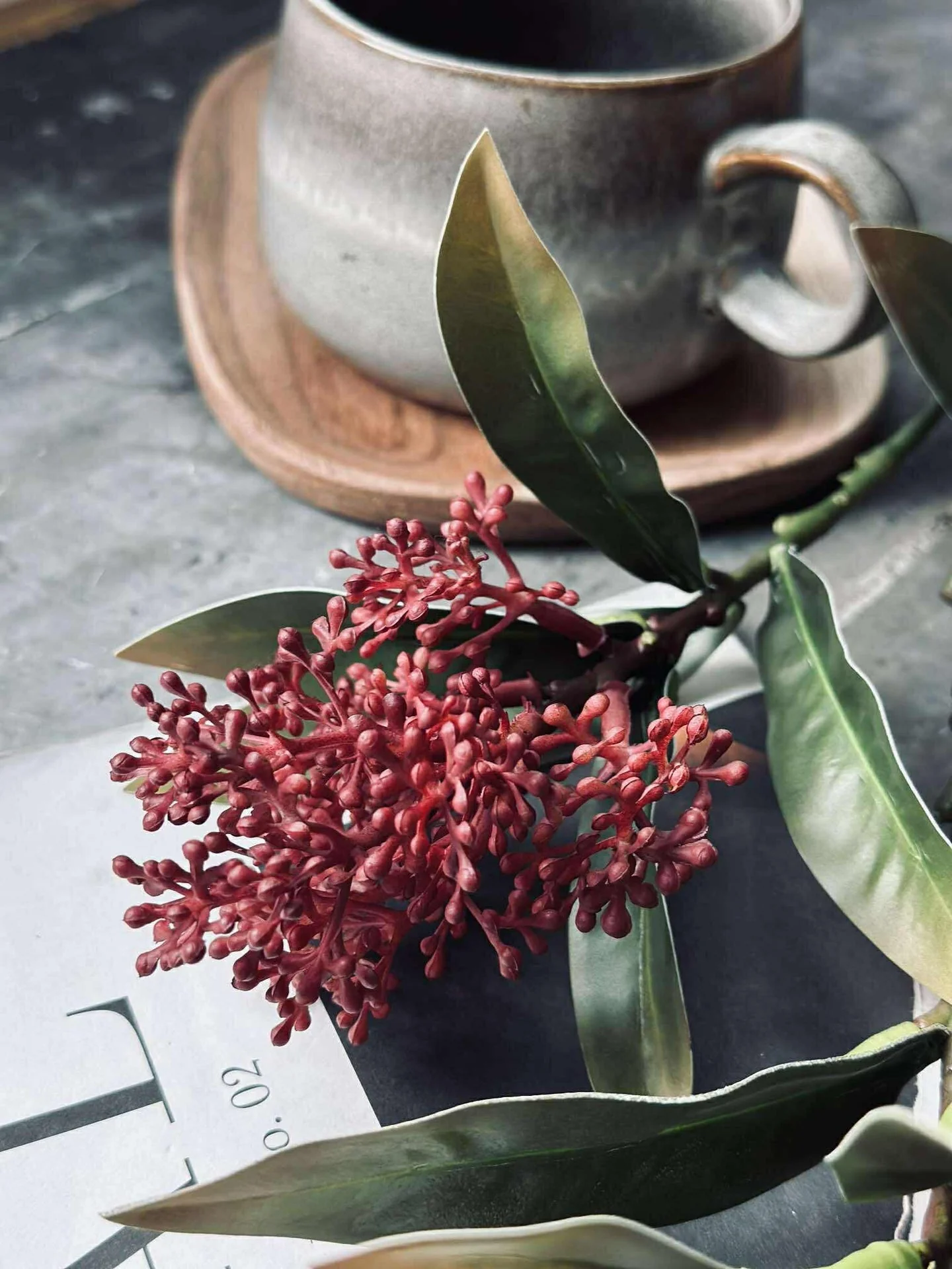 Blomsterstilk -skimmia MIX - Image 14