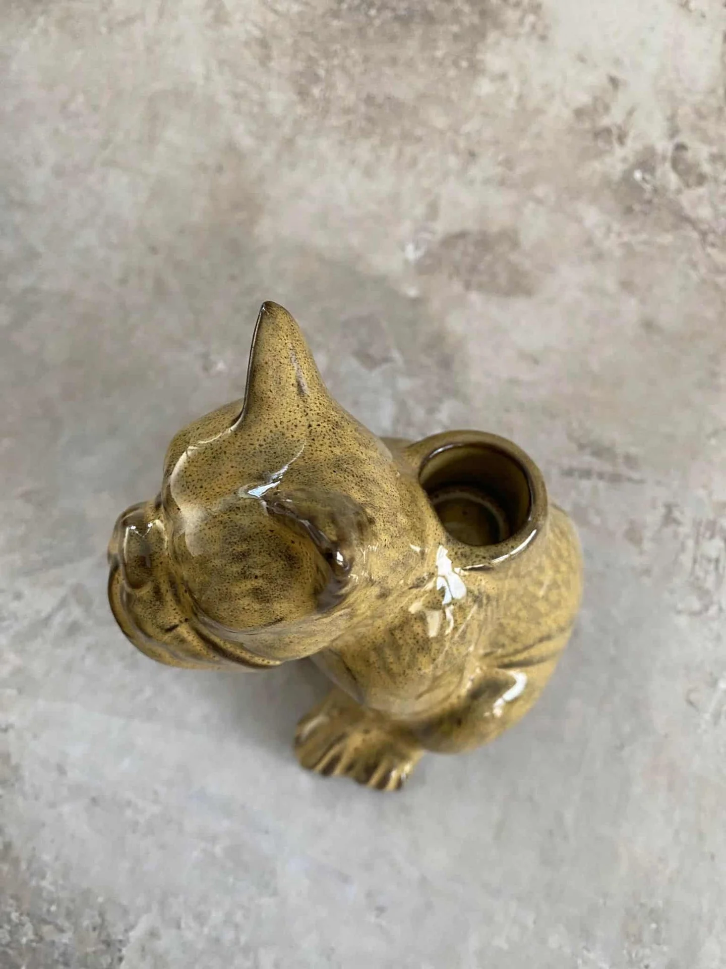 Lysestake Bulldog - Image 3
