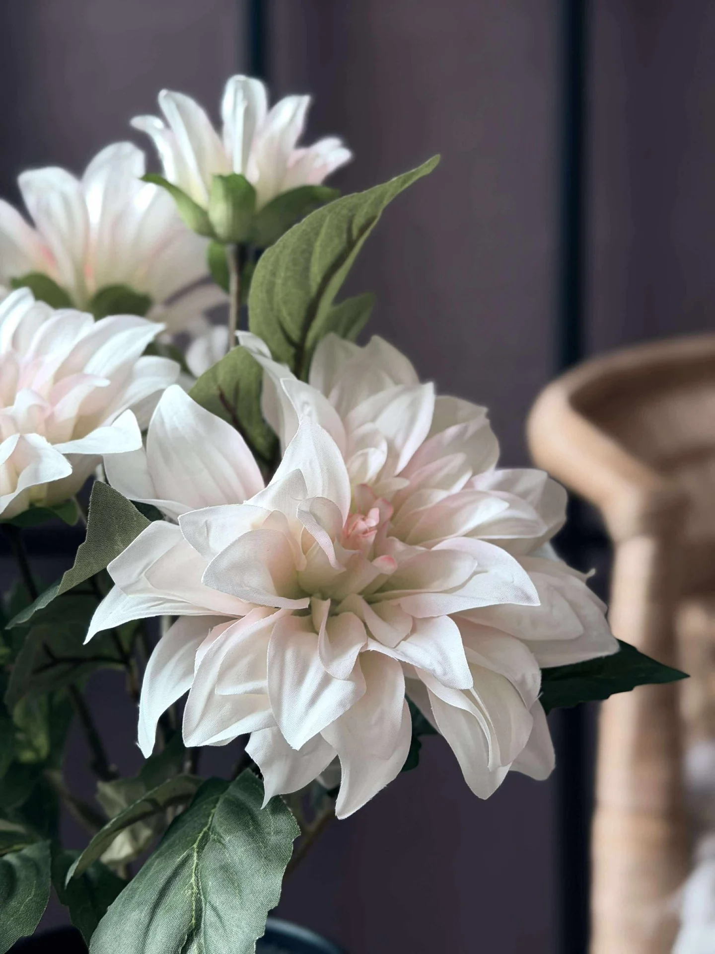 Dahlia i potte - Hvit - Image 3