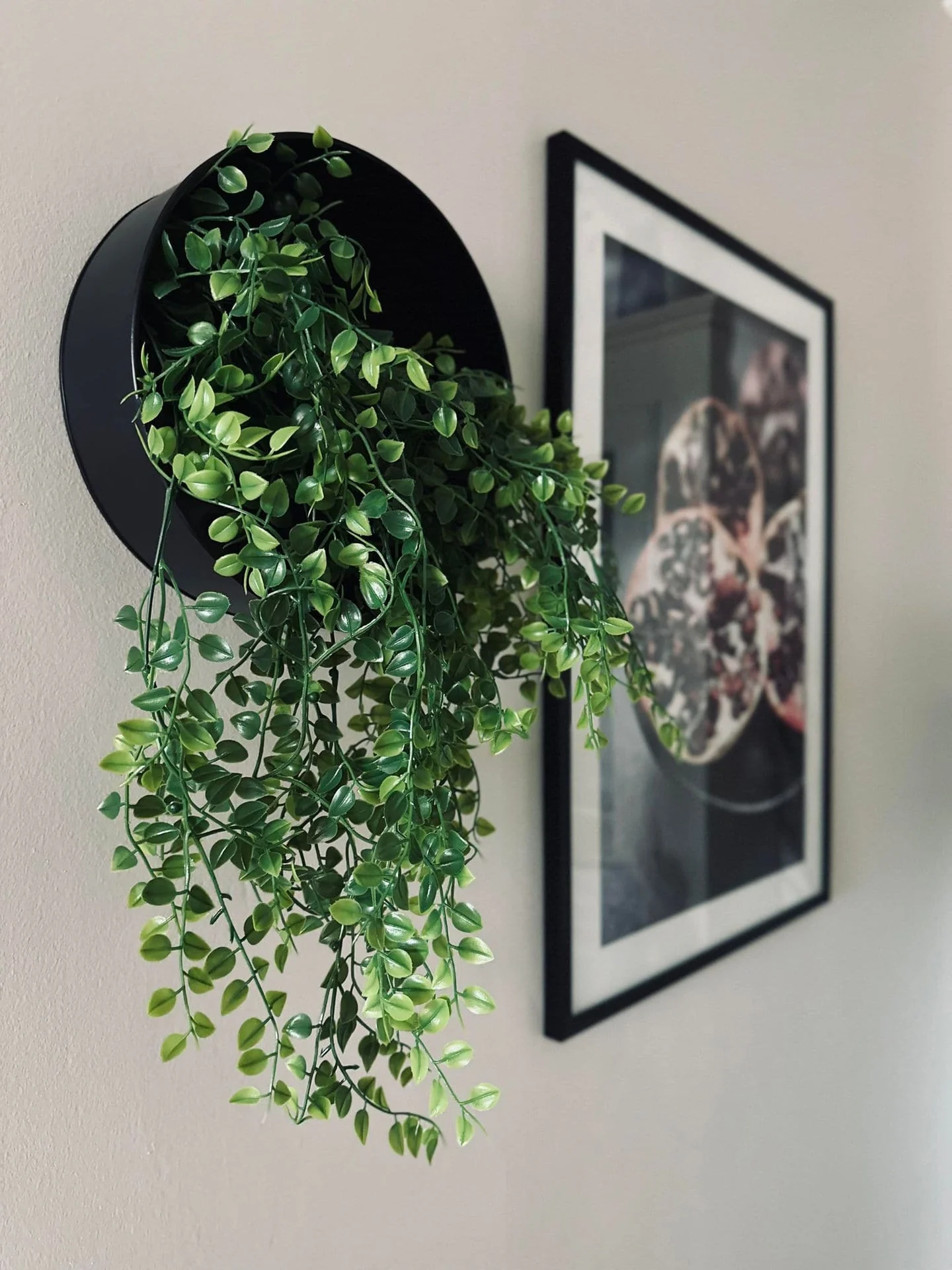 Dekorativ hengende plante - Grønn - Image 4