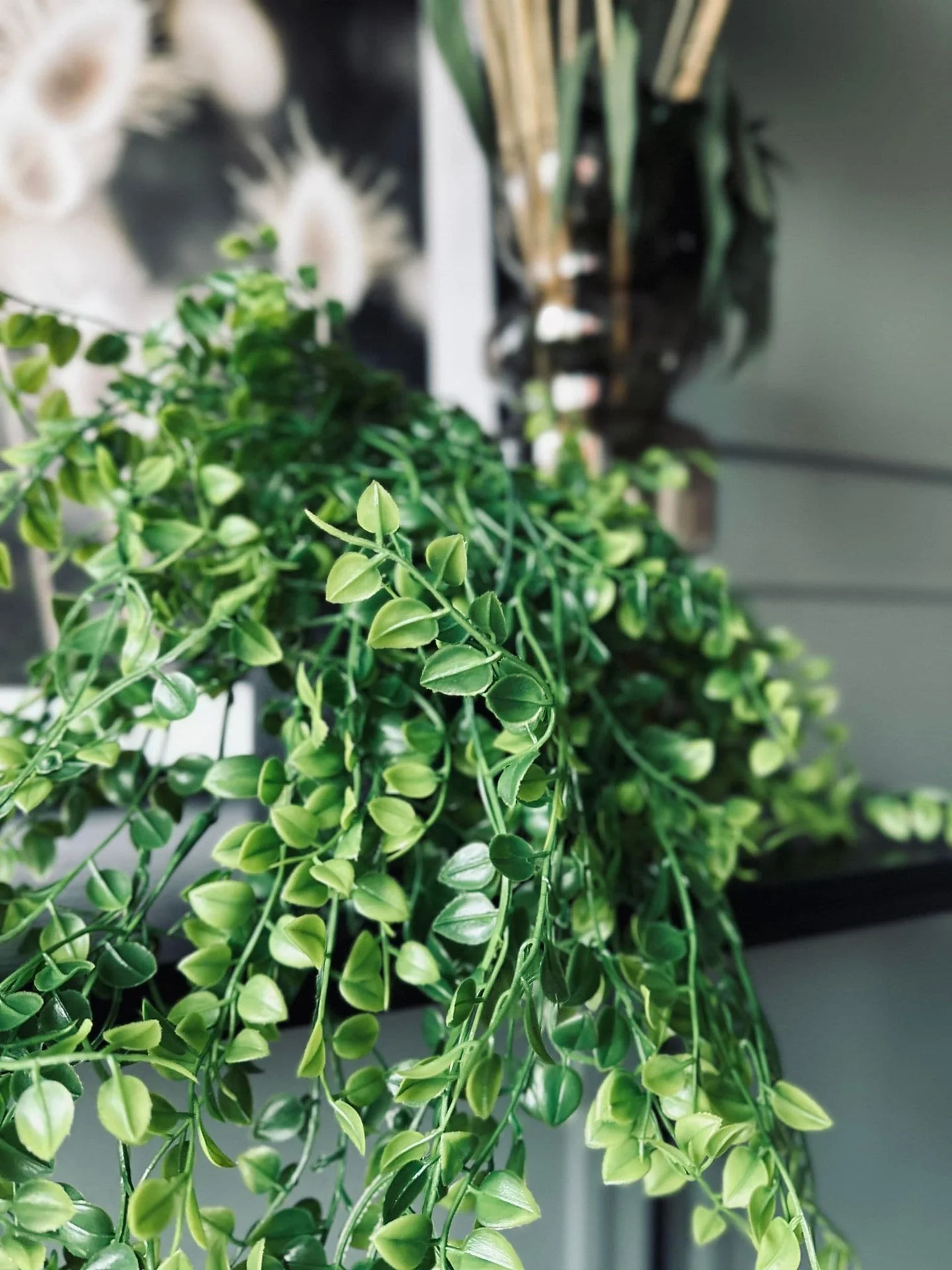Dekorativ hengende plante - Grønn - Image 6