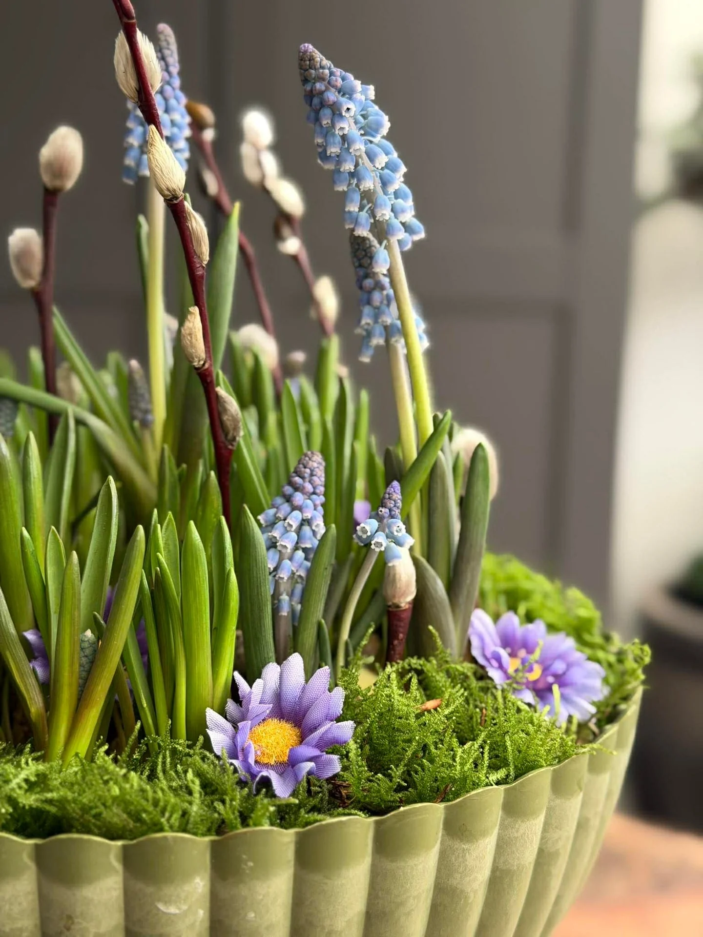 DIY oppsats i betong-look - Grønn - Image 9