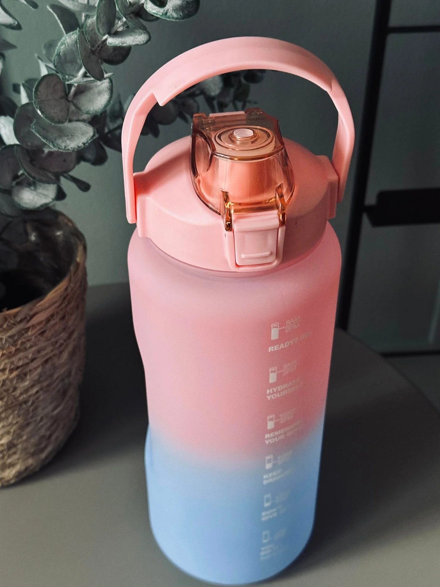 Drikkeflaske 2000 ml - Rosa / Blå - Image 4