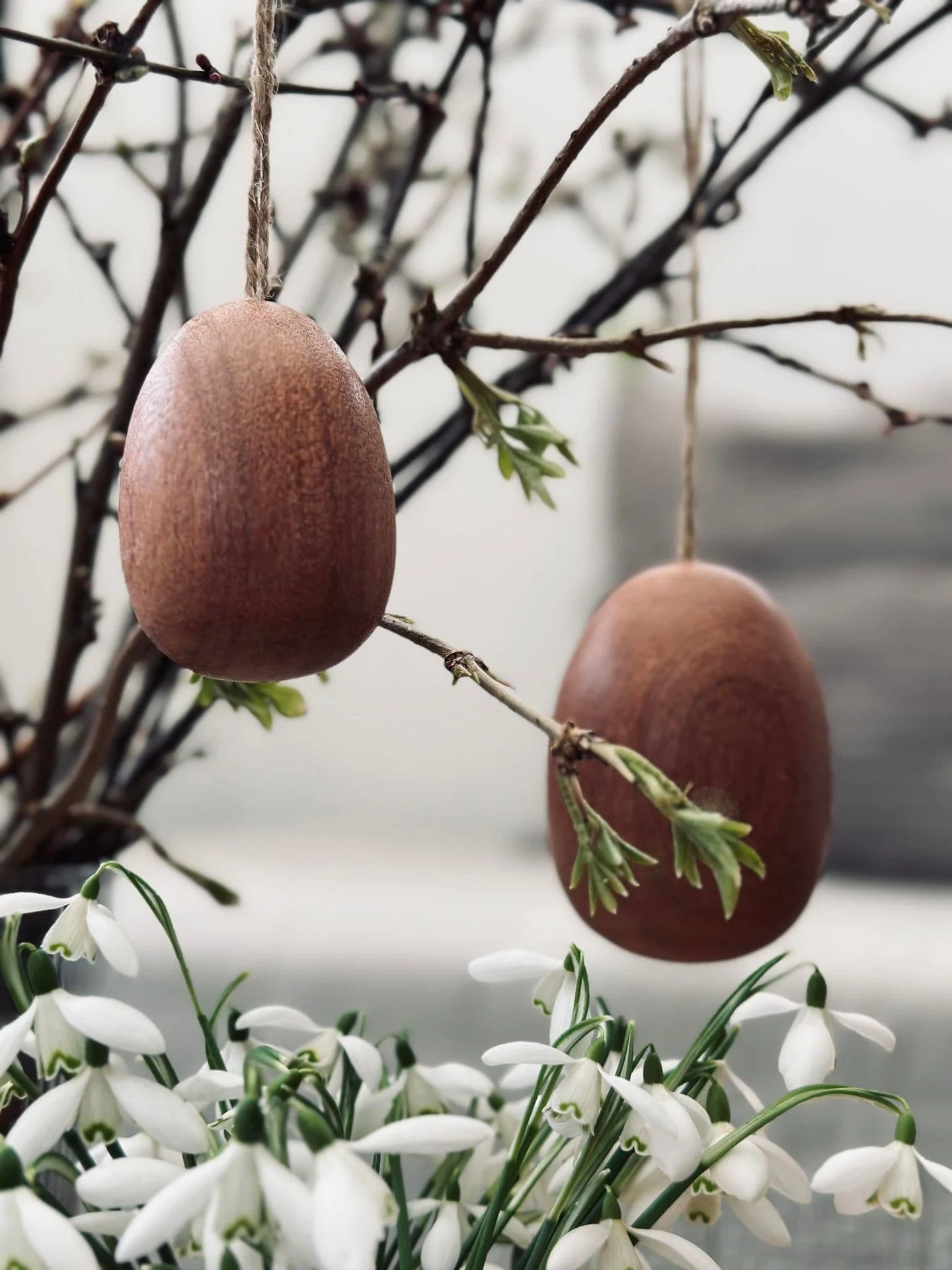 Egg i sabeltre – Stor - Image 5