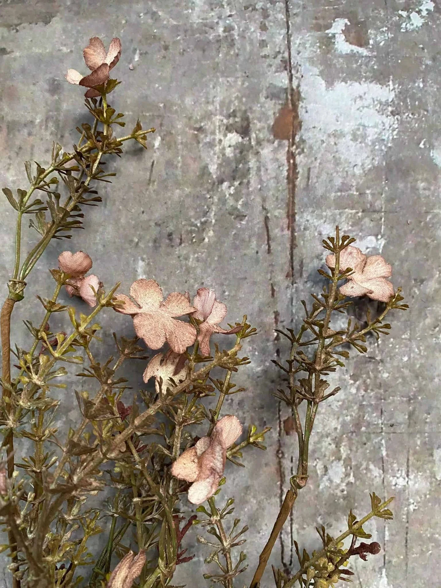 Evighetsblomst – Stilk 60cm Rosa - Image 2