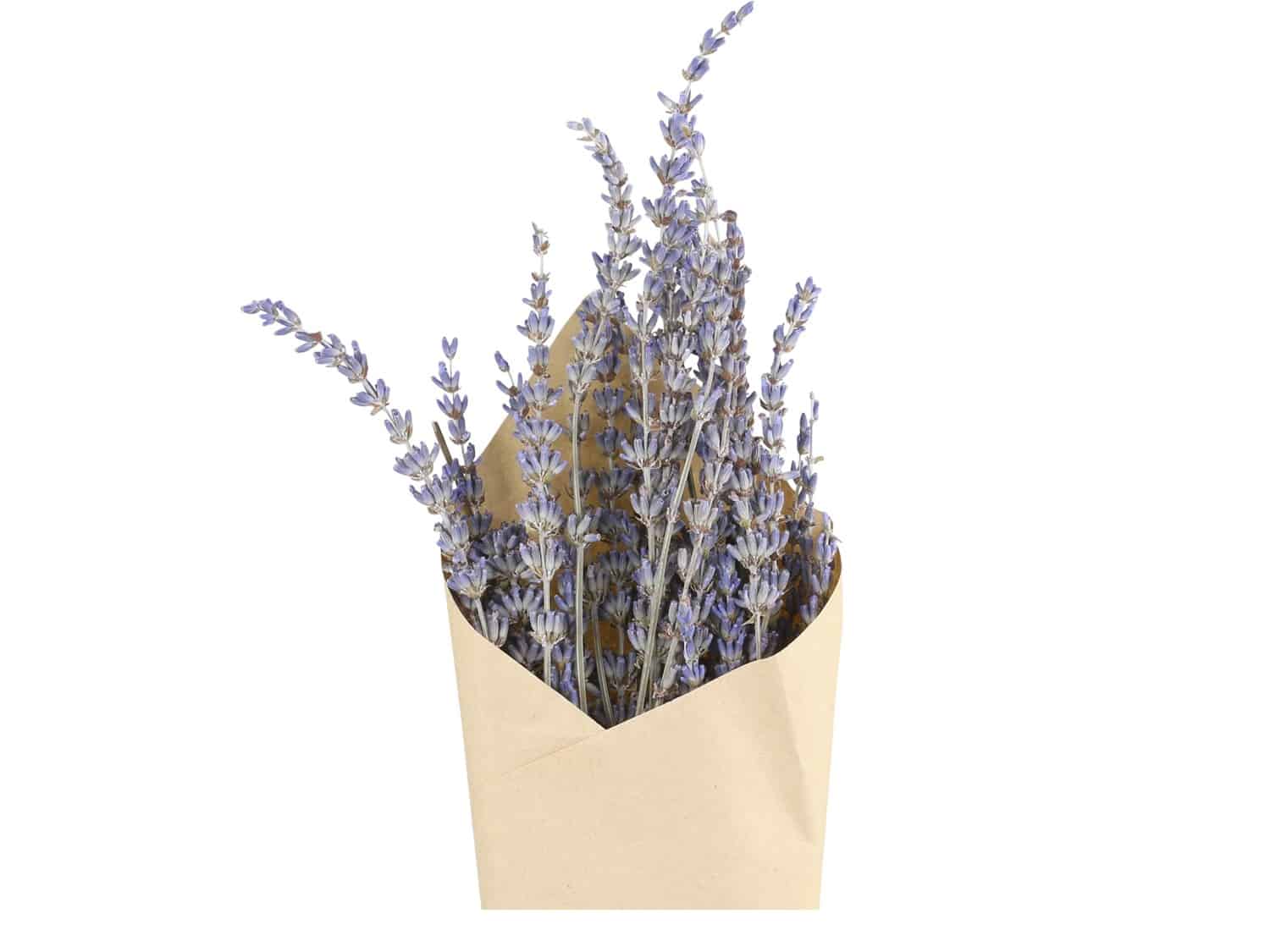Evighetsbukett - Lavendel - Image 2