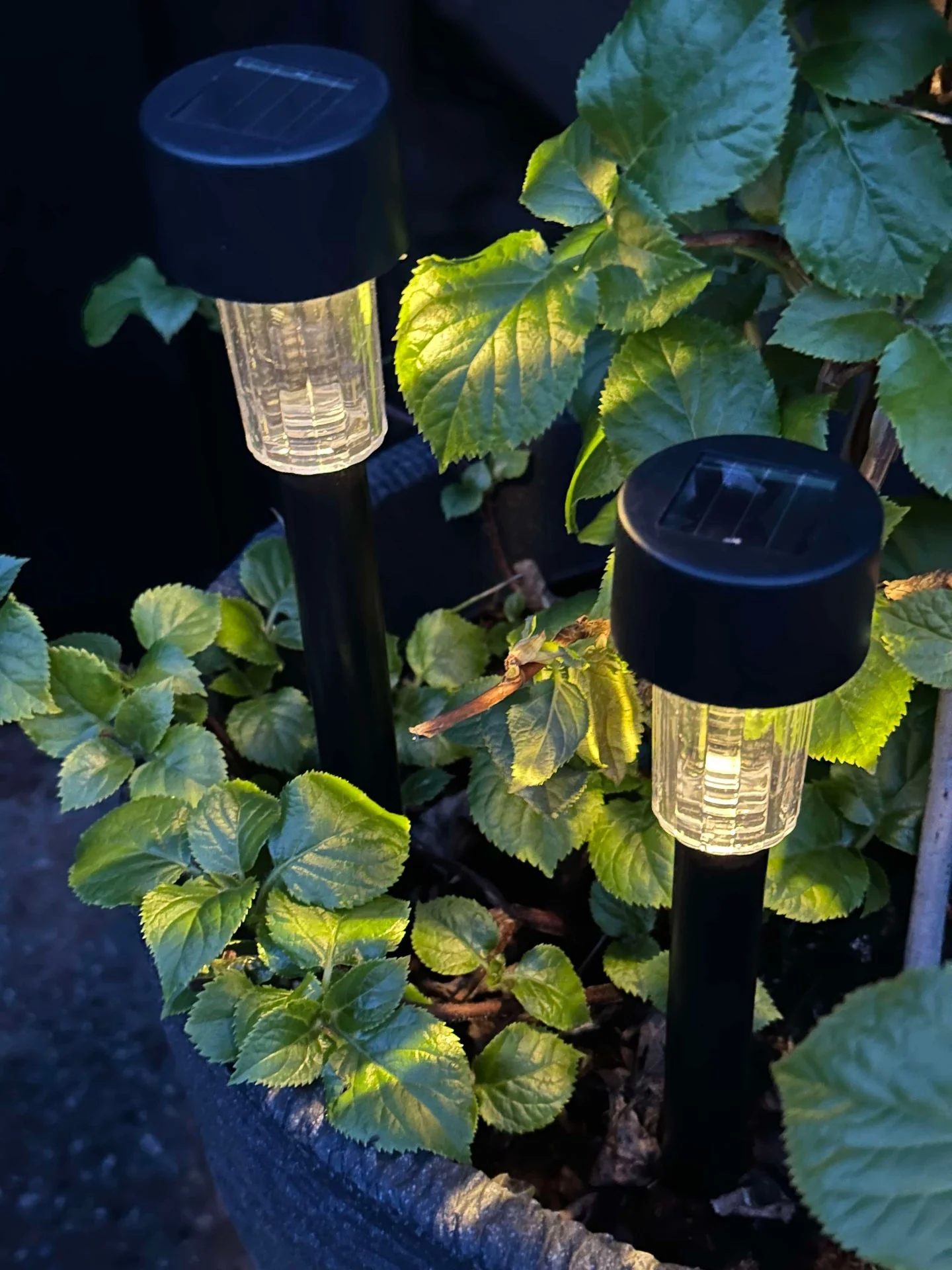 Fakkel Effekt Black – Sett med 4 stk - Image 4