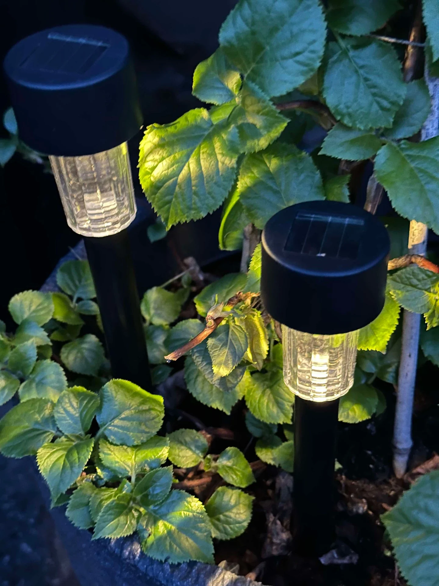 Fakkel Effekt Black – Sett med 4 stk - Image 5