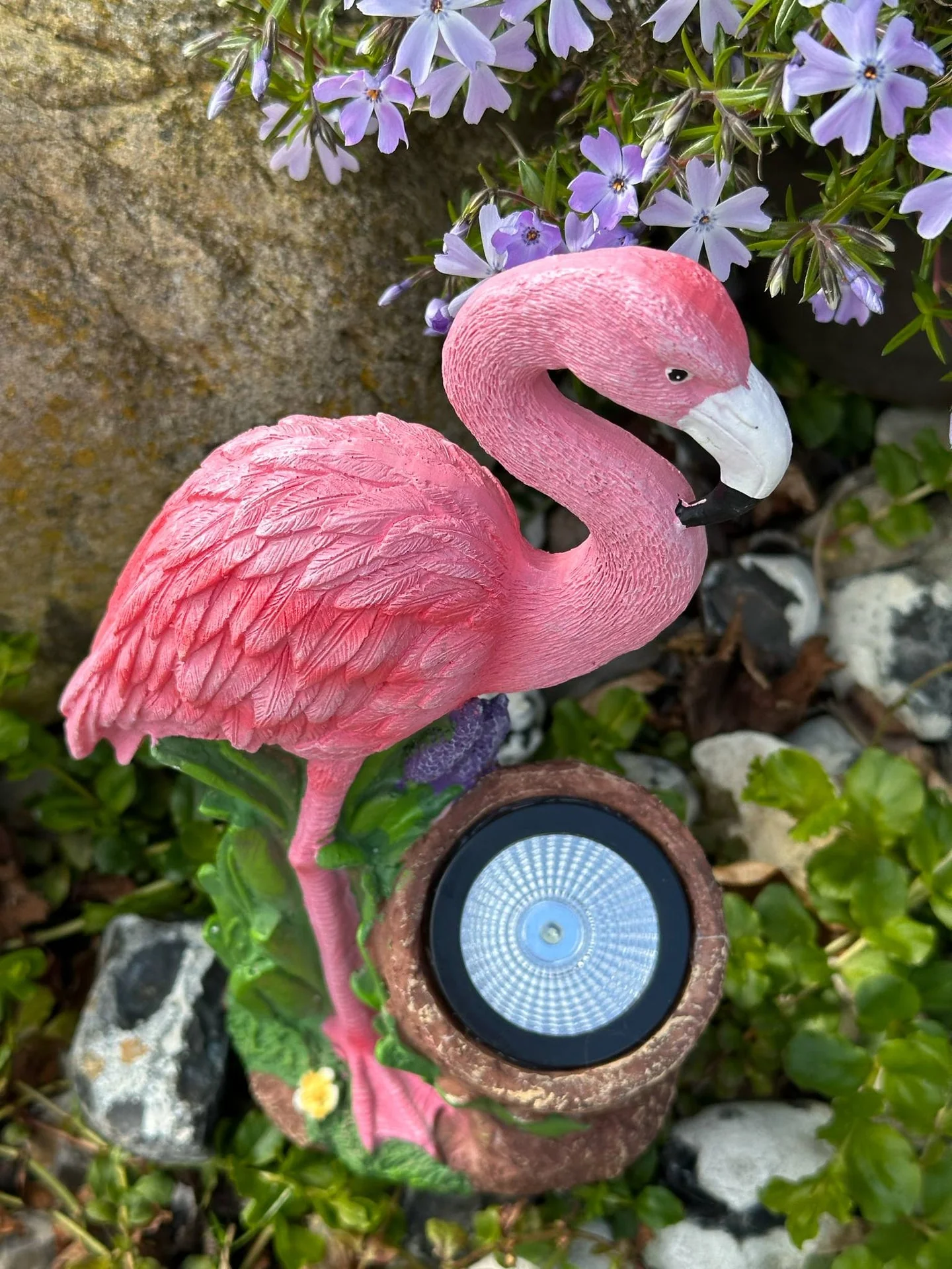 Flamingo med solar - Image 2