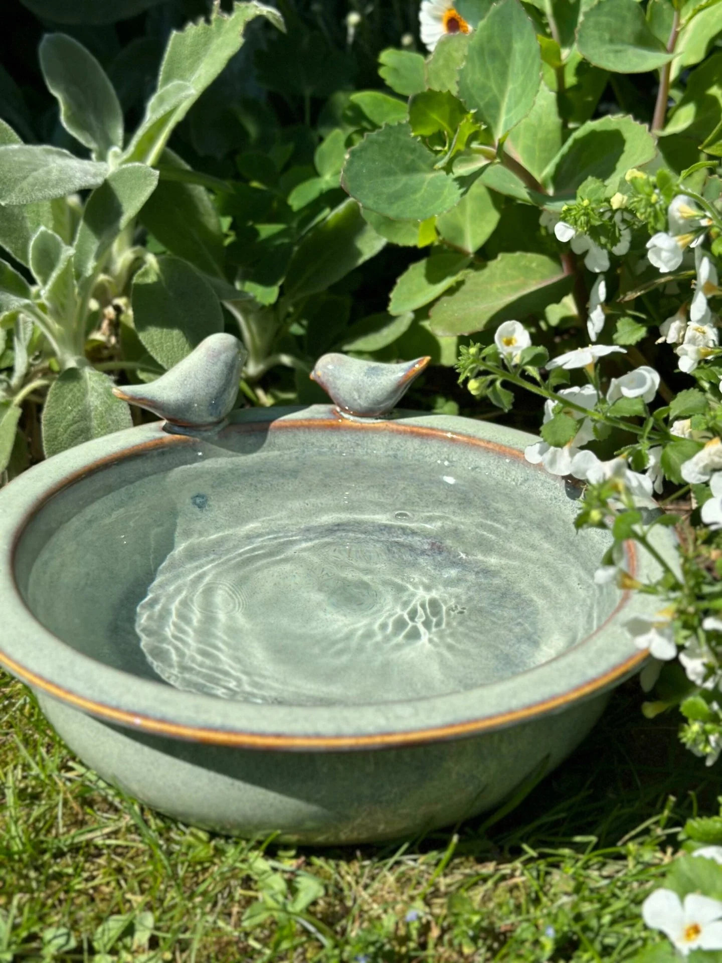 Fuglebad – Grønn keramikk - Image 4