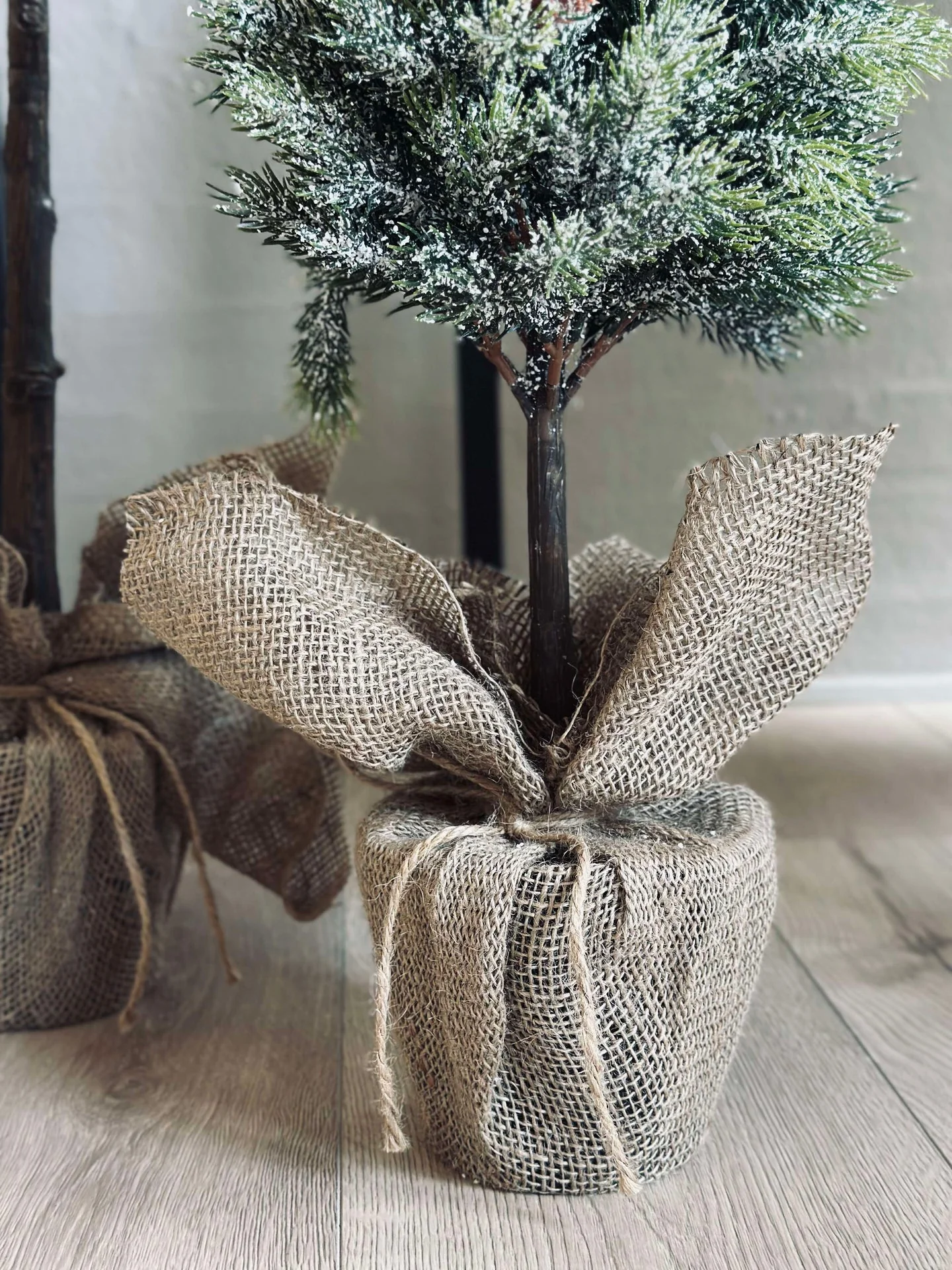 Pinetree MIX - 106 cm - Image 3