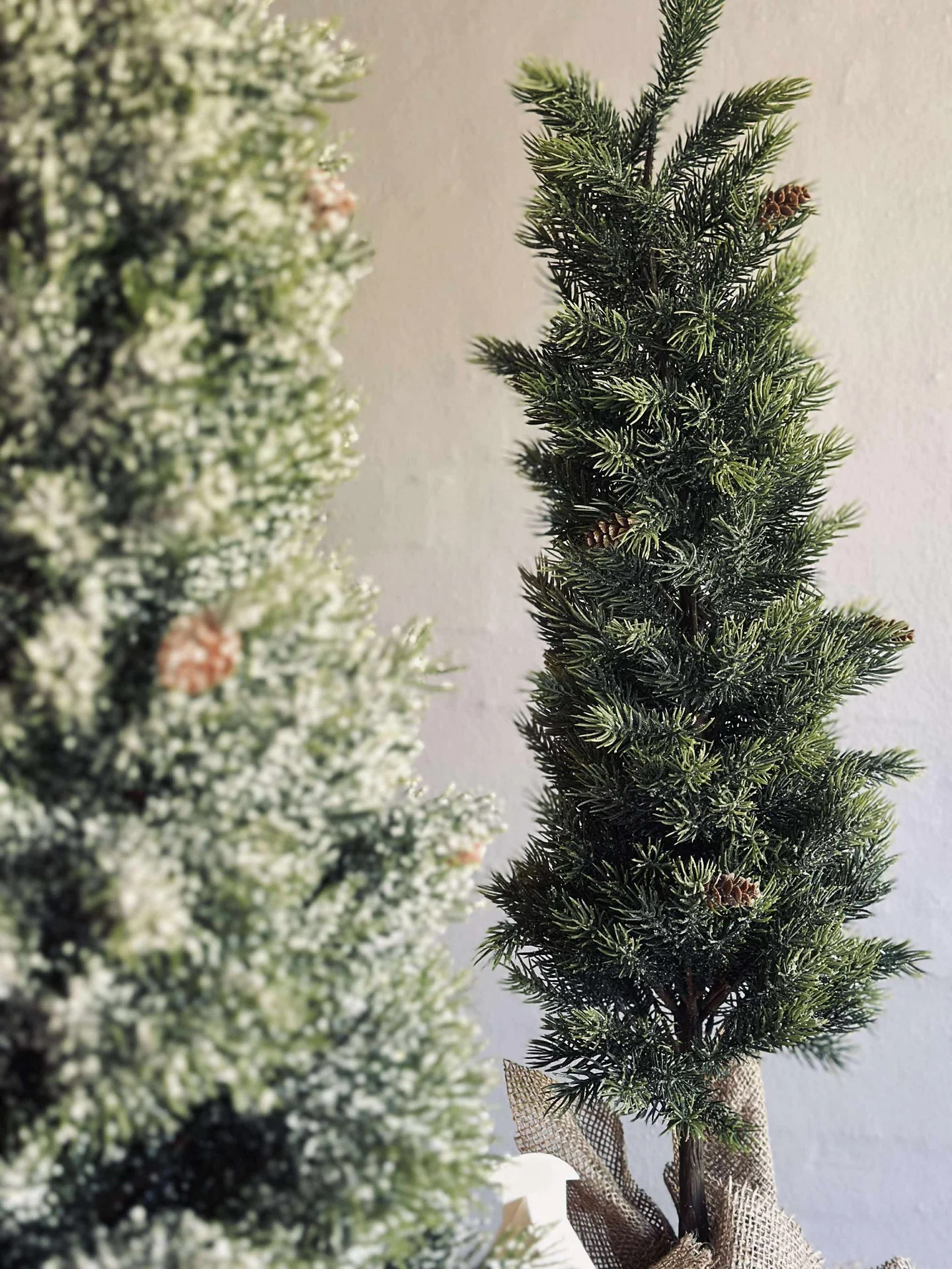 Pinetree MIX - 80 cm - Image 12