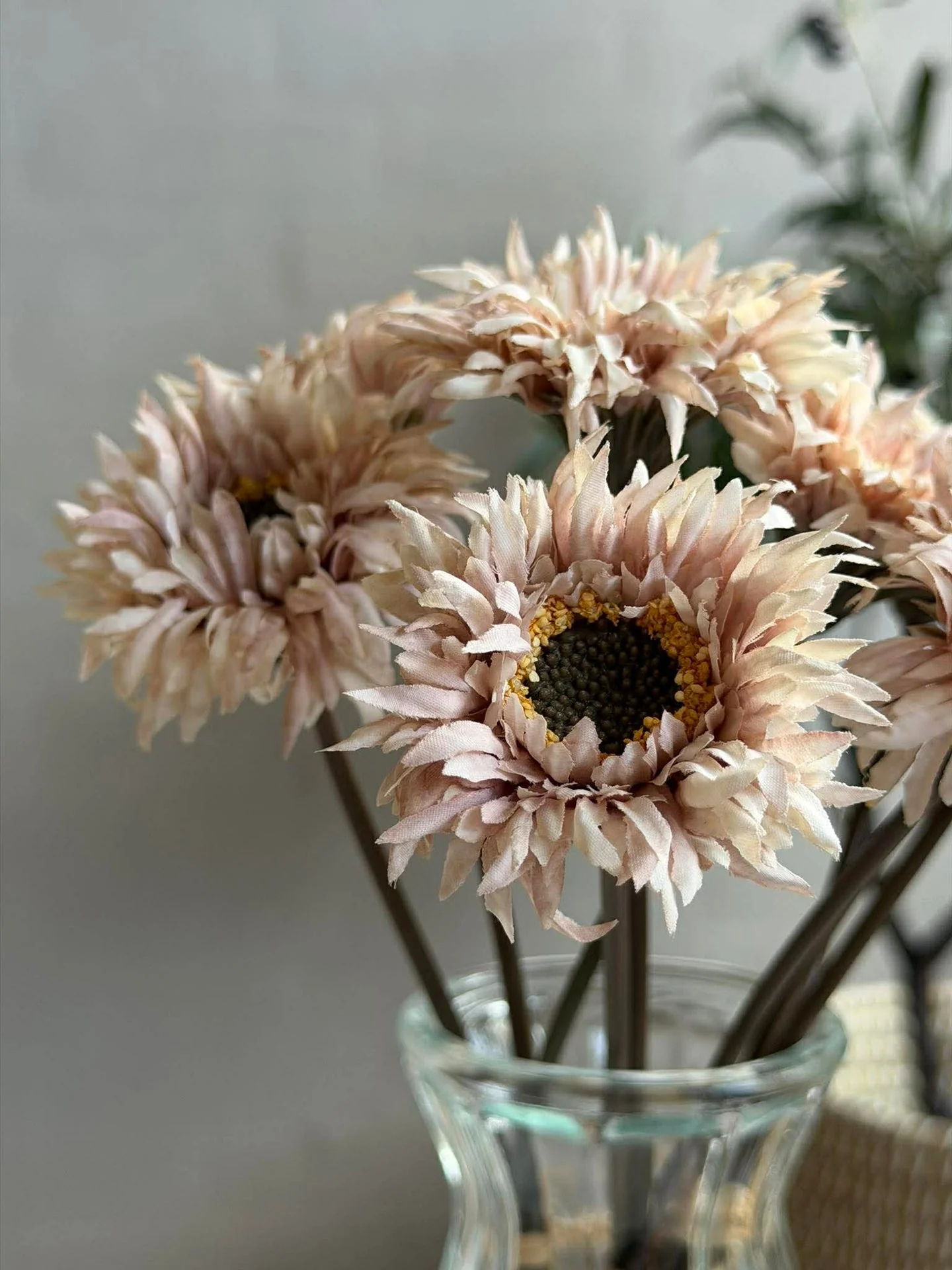 Gerbera 3 stk. - Image 5