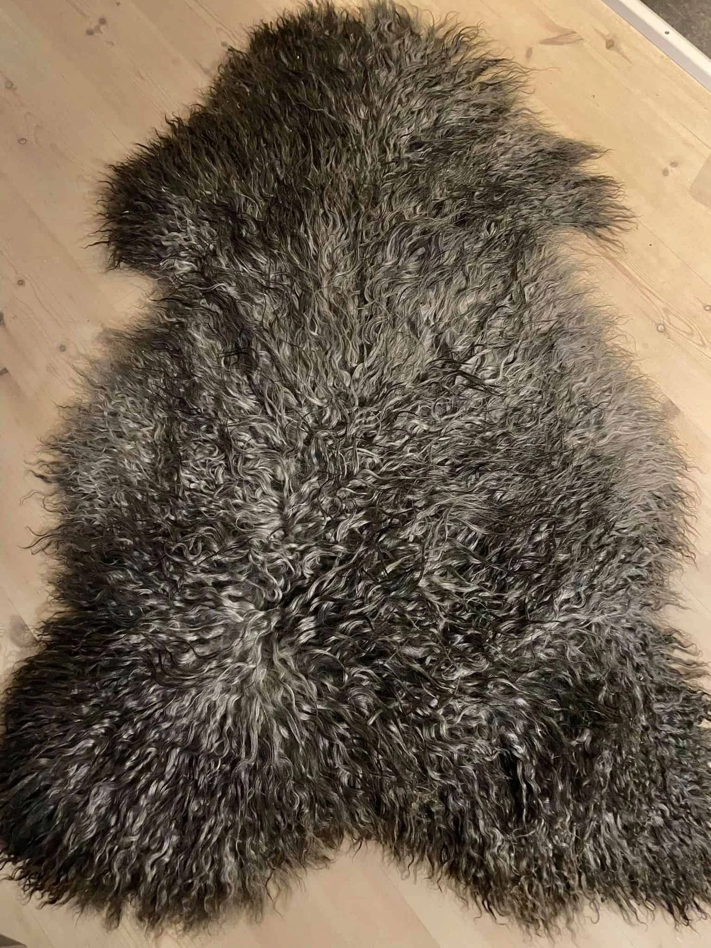 Gigantisk lammeskinn fra Gotland // 150cm! - 2. sortering - Image 2