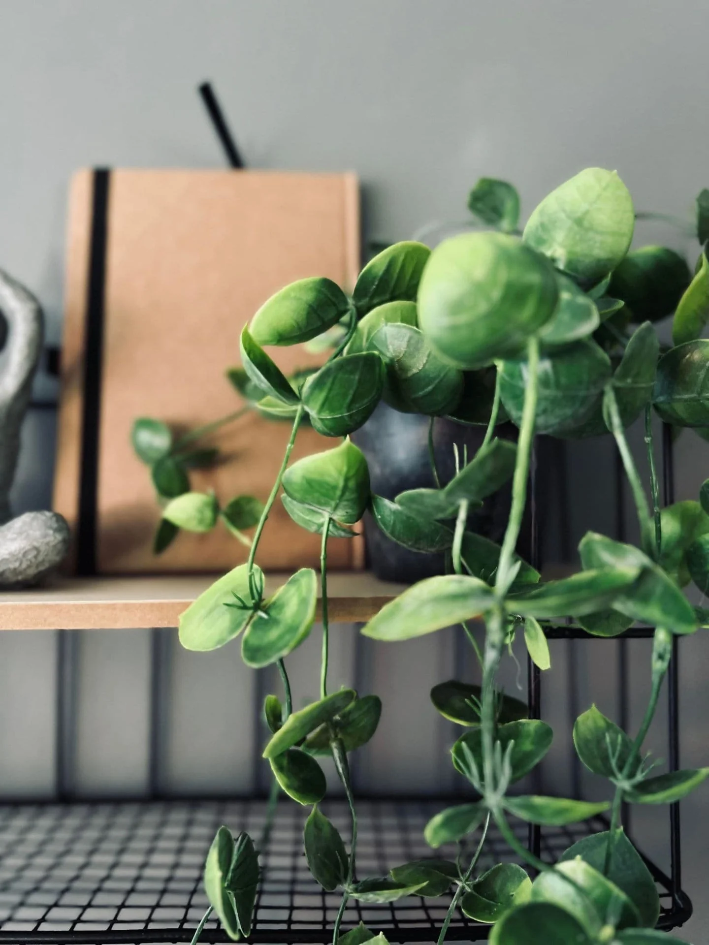 Hengeplante - Fresh green - Image 3