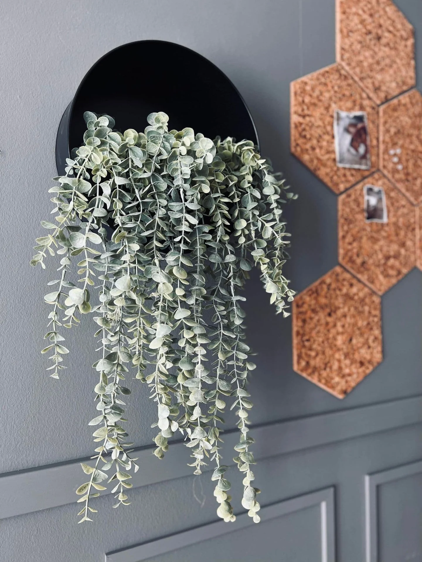Hengeplante - Mint XL - Image 7