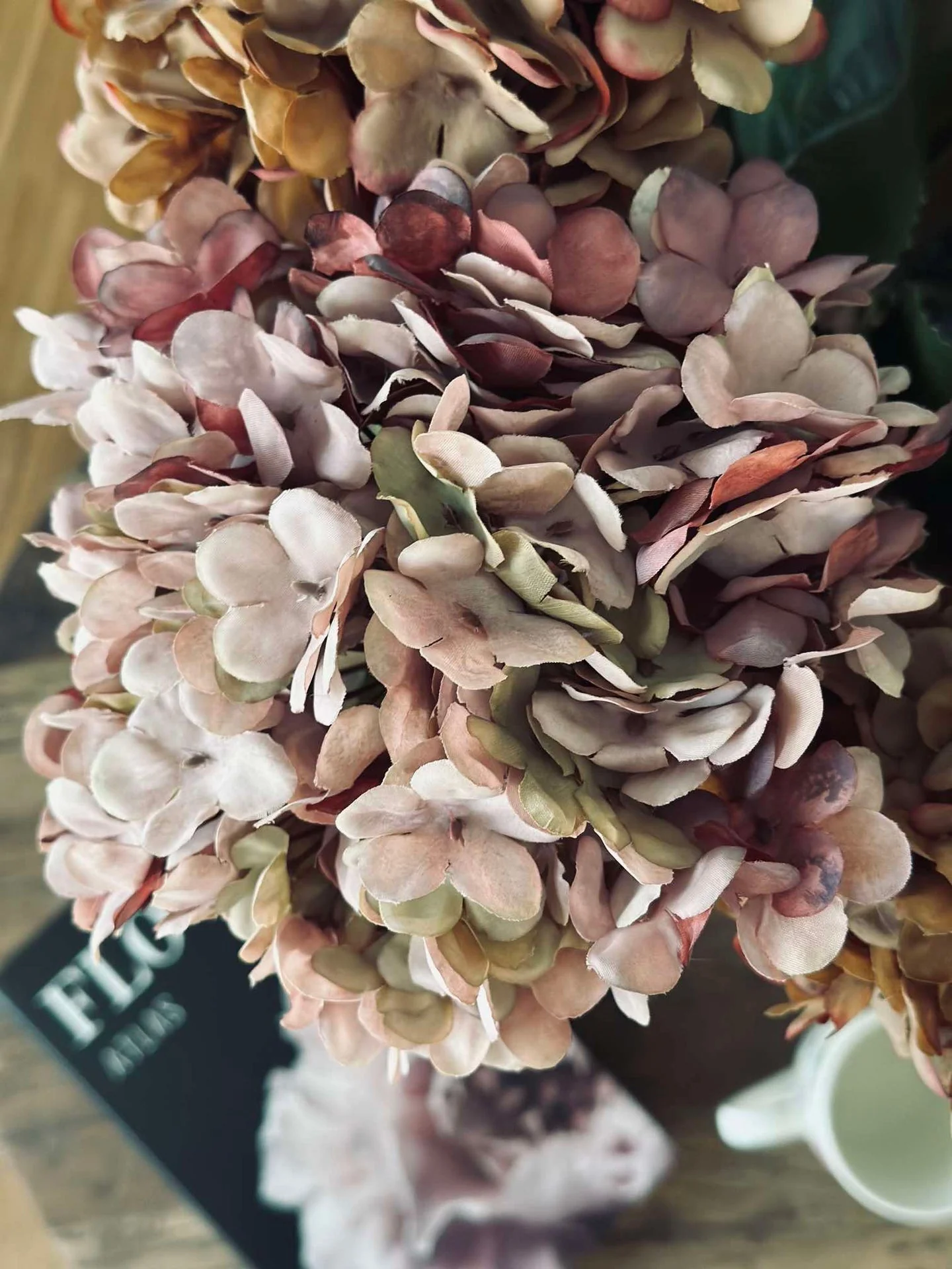 Hortensia Old Rose - Image 10