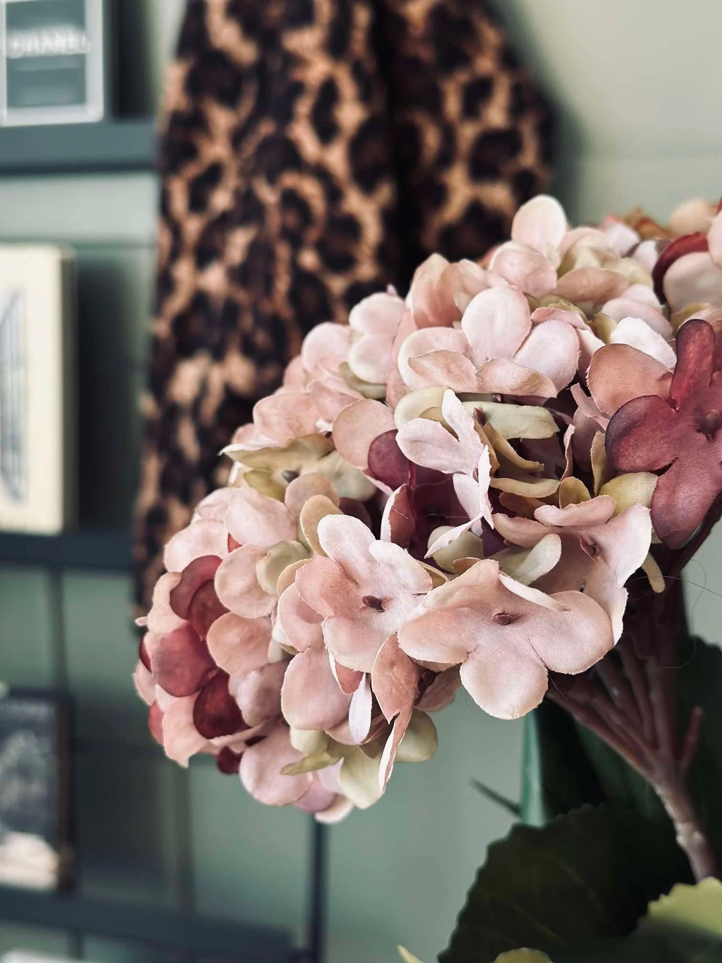 Hortensia Old Rose - Image 6