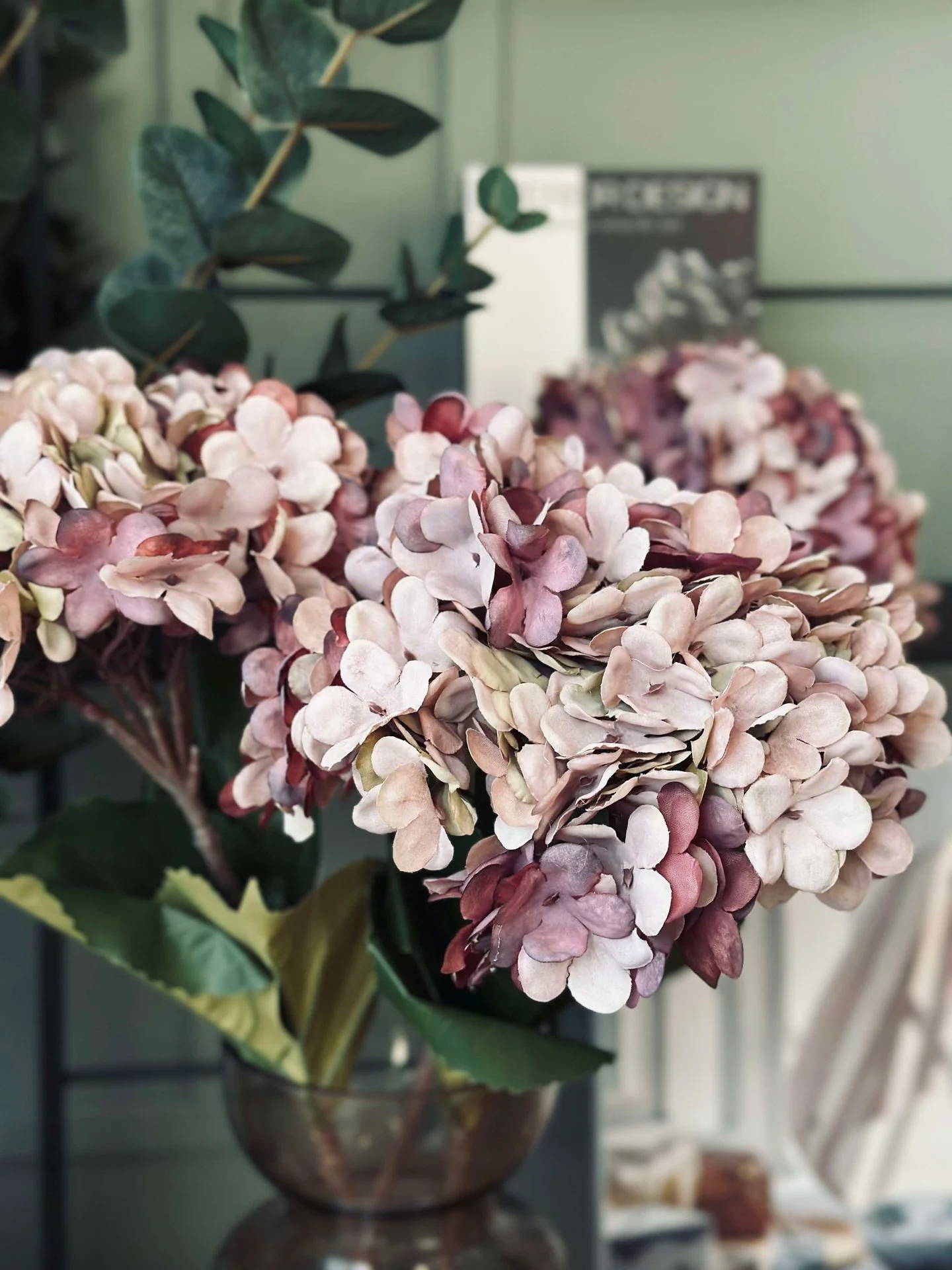 Hortensia Old Rose - Image 8