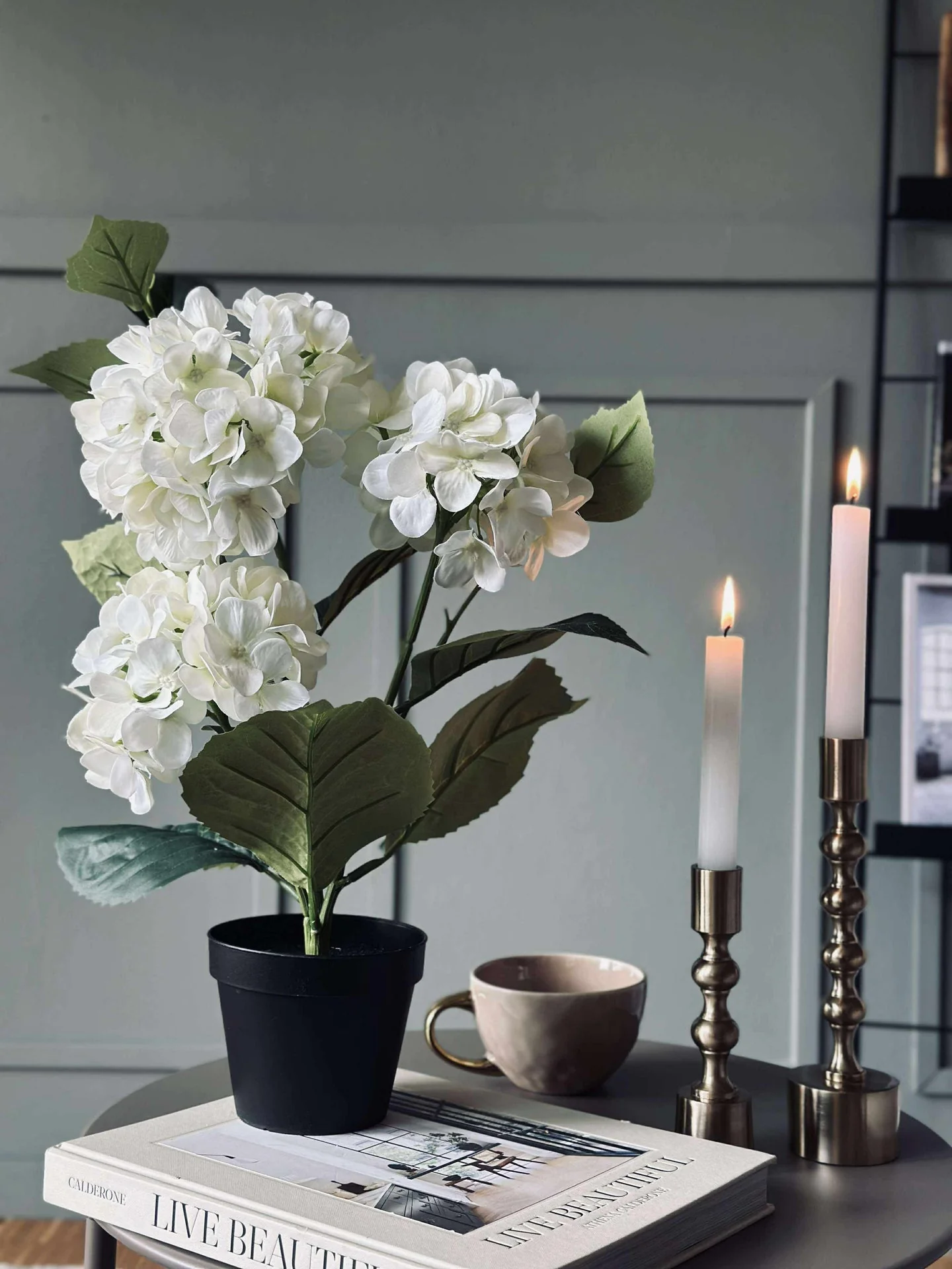 Hortensia i potte - Hvit - Image 3