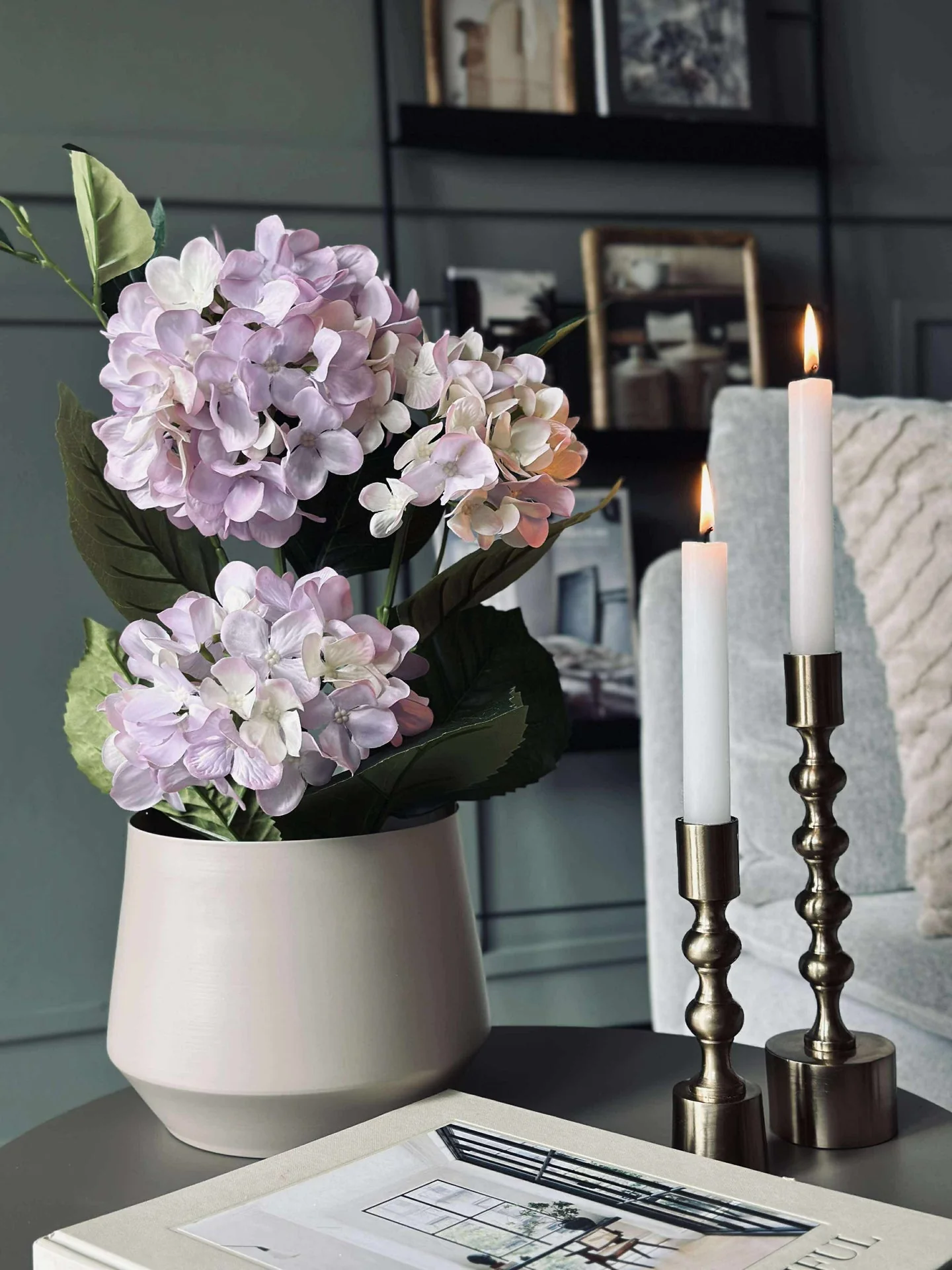 Hortensia i potte - Syrin - Image 6
