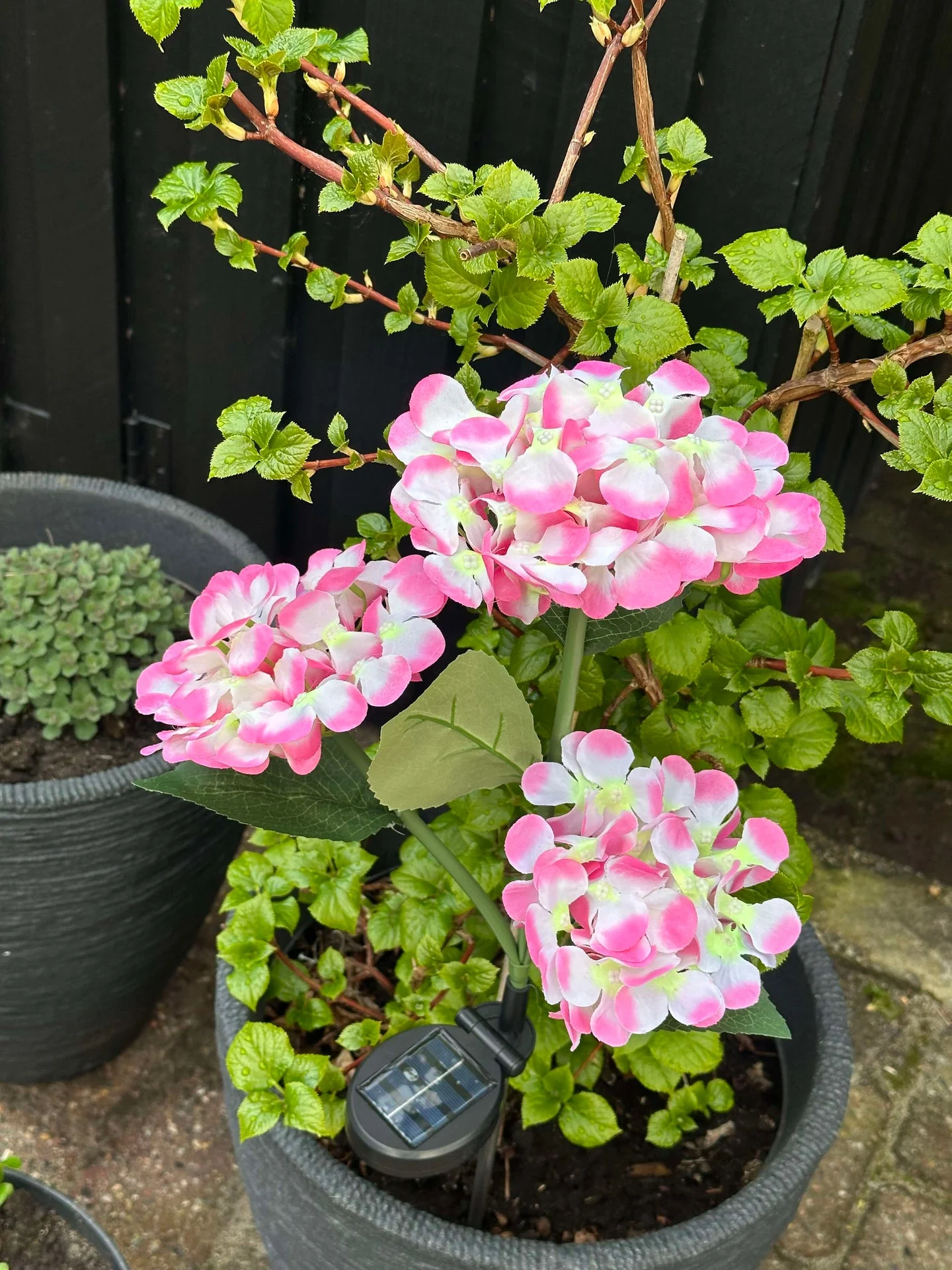 Hortensia med solceller - Image 6
