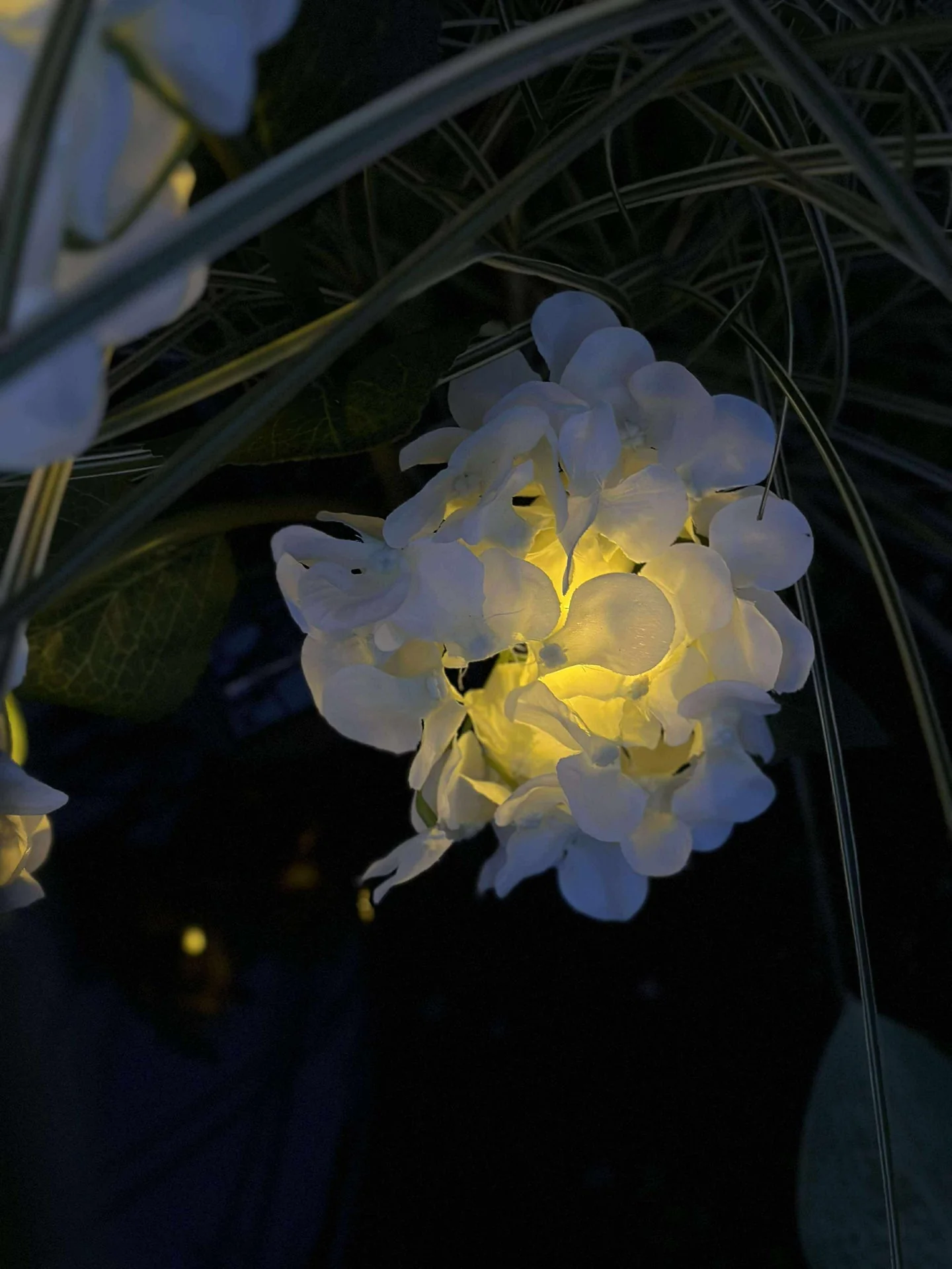 Hortensia med solceller - Hvit - Image 5