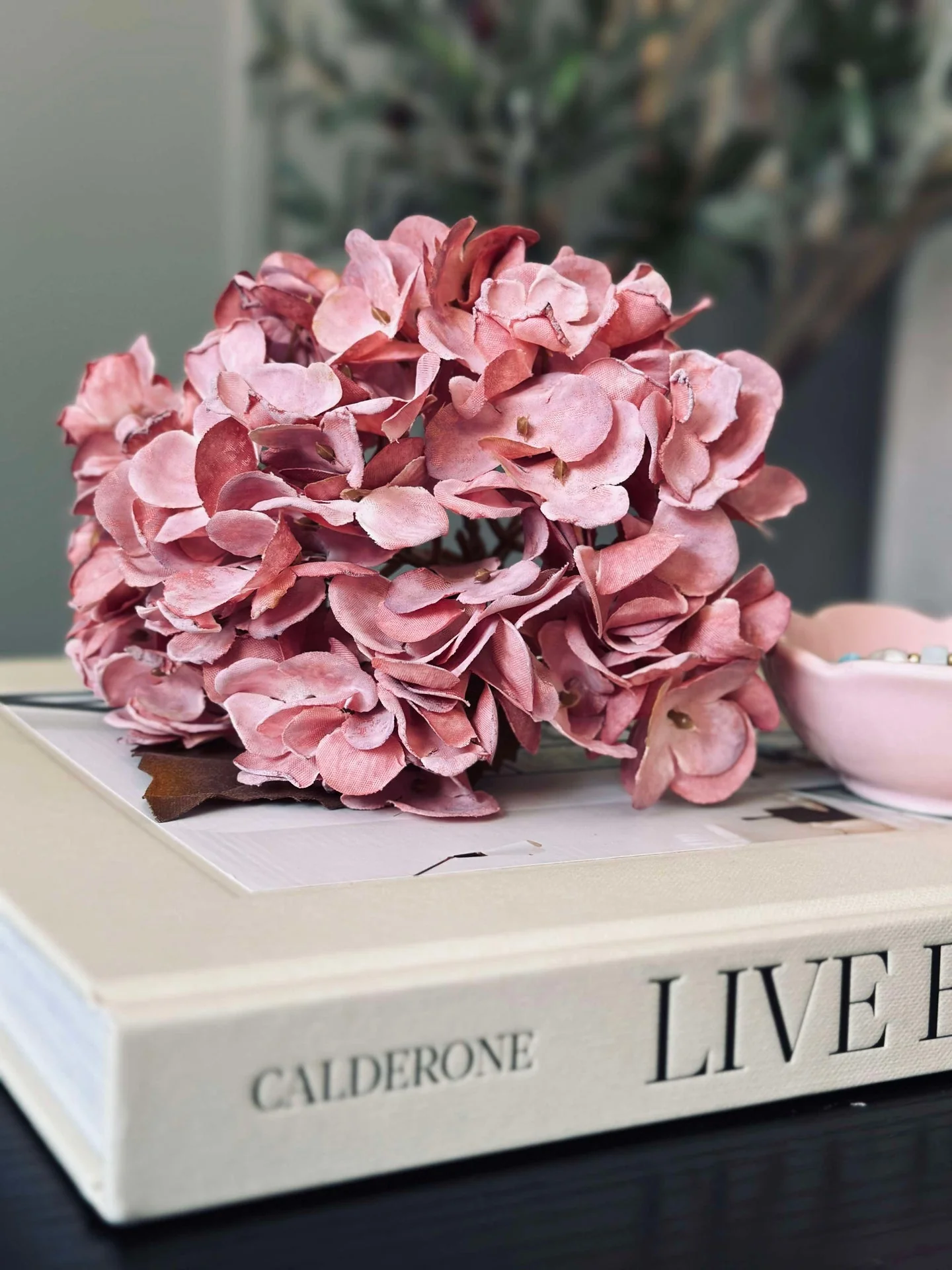 Hortensia stilk