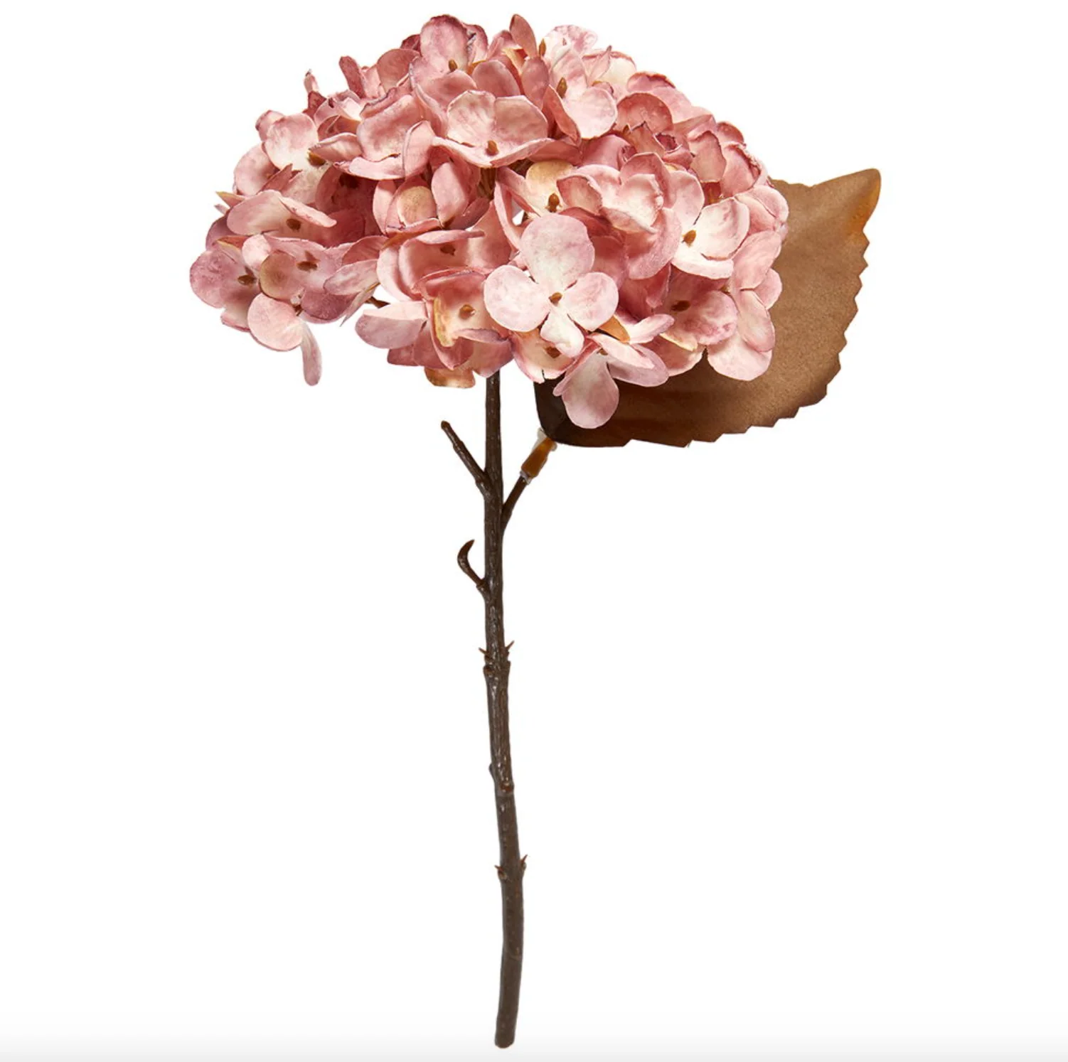 Hortensia stilk - Image 9