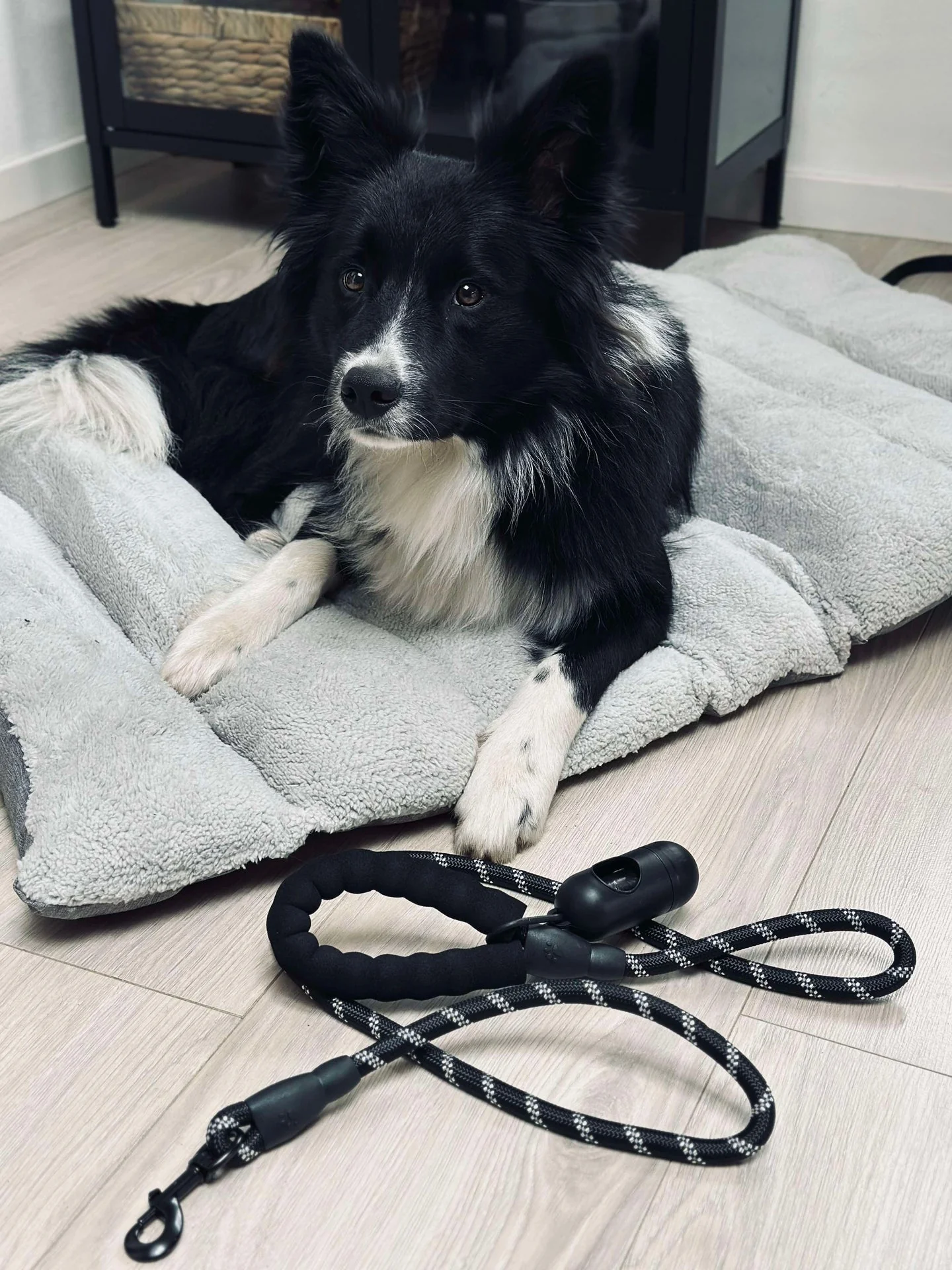 Hundesnor 1,5 meter med poseholder - Image 2