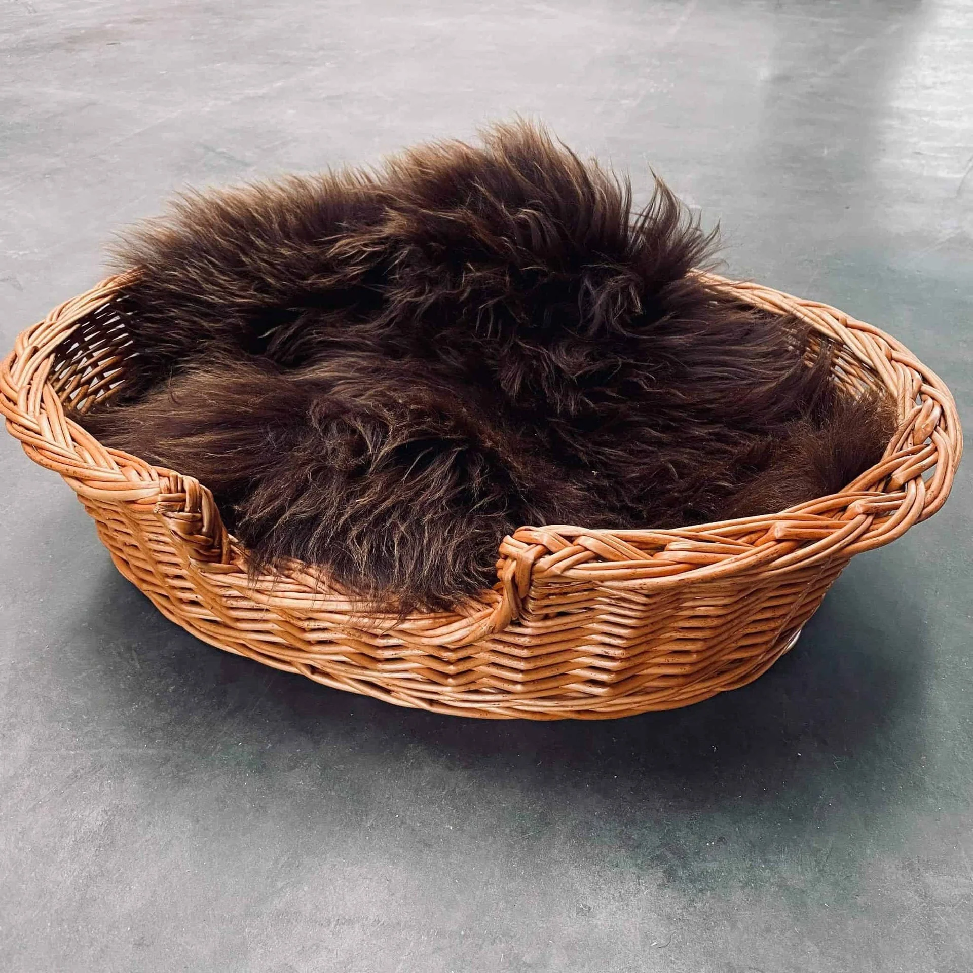 Hundekurv i kraftig rattan – Liten