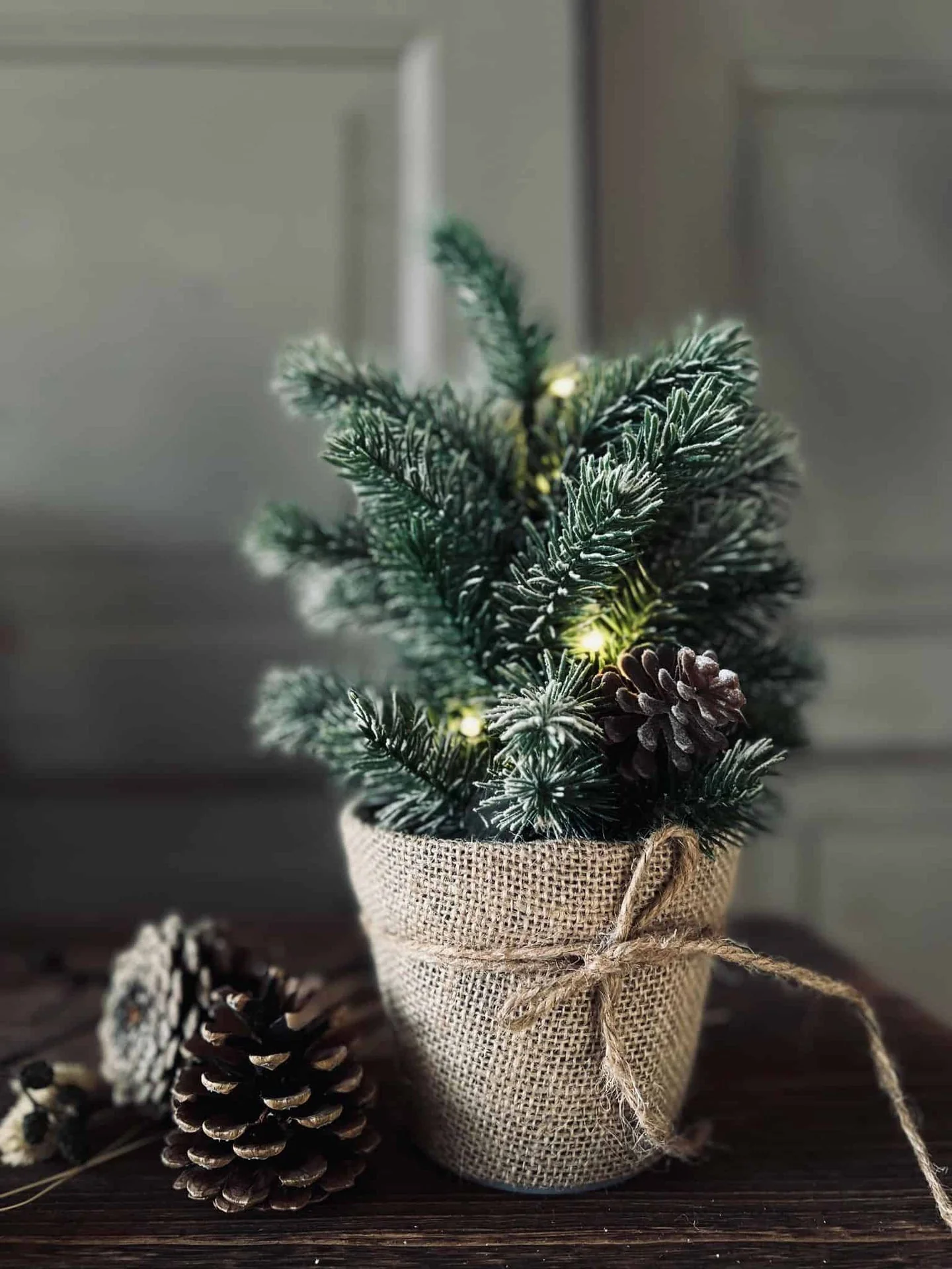 Juletre i potte med snø - inkl. lyskjede