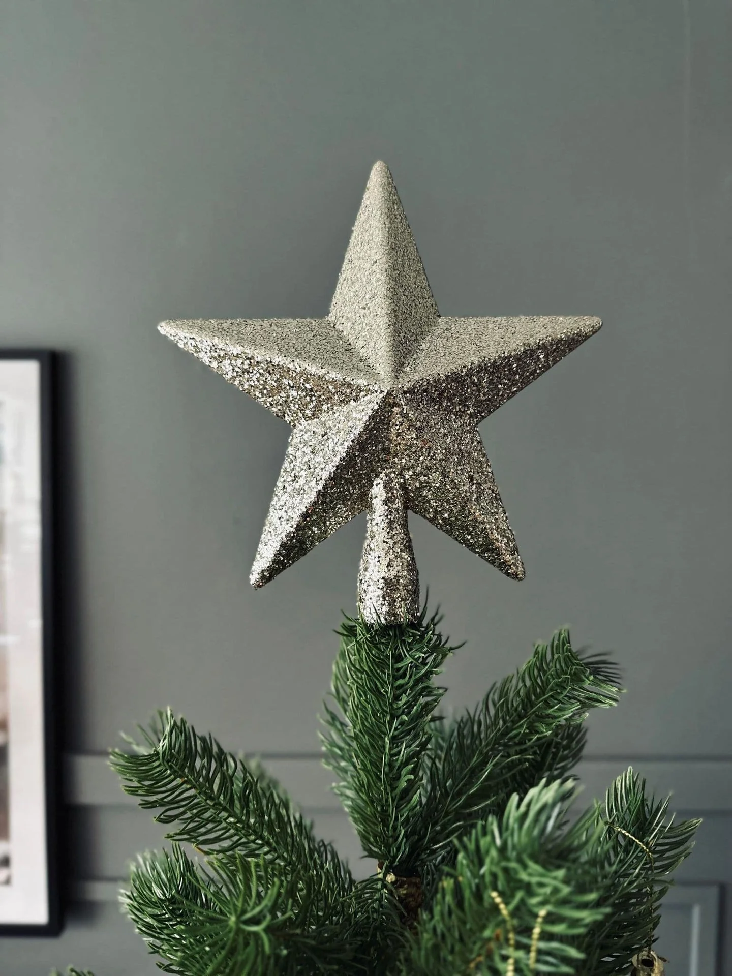 Julestjerne til juletre - Champagne - Image 2