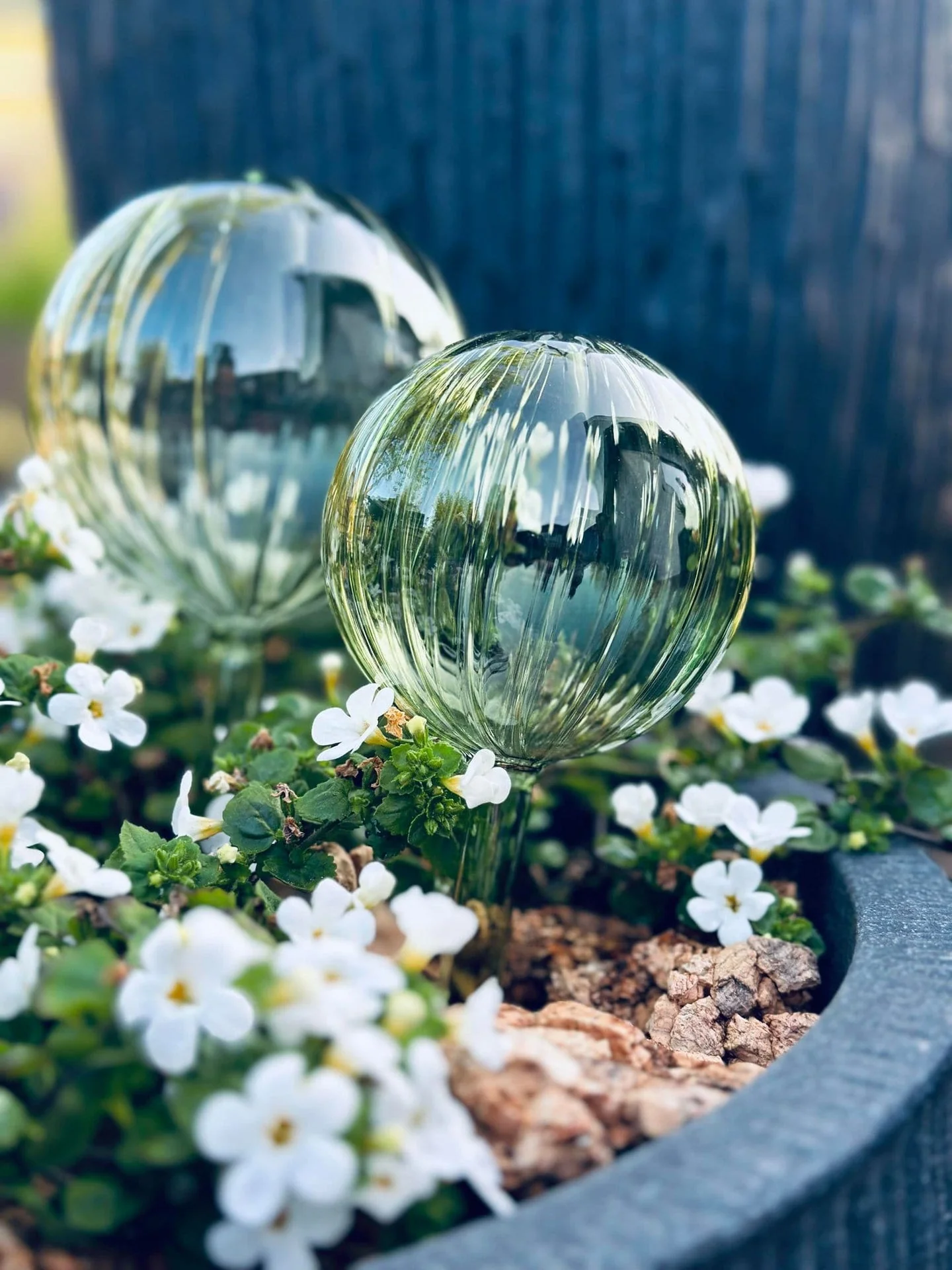 Kuler i grønt glass - Sett med 2 stk til vanning av blomster - Image 2