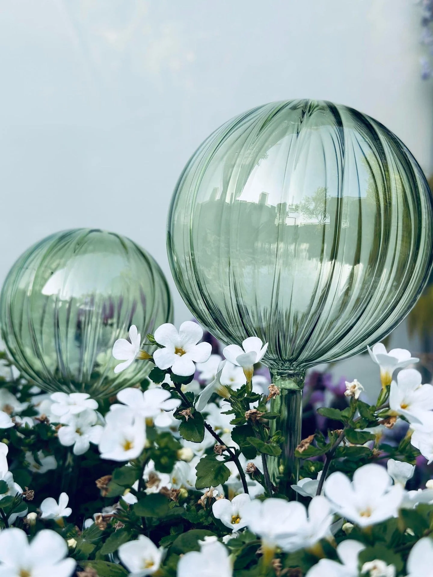 Kuler i grønt glass - Sett med 2 stk til vanning av blomster - Image 4