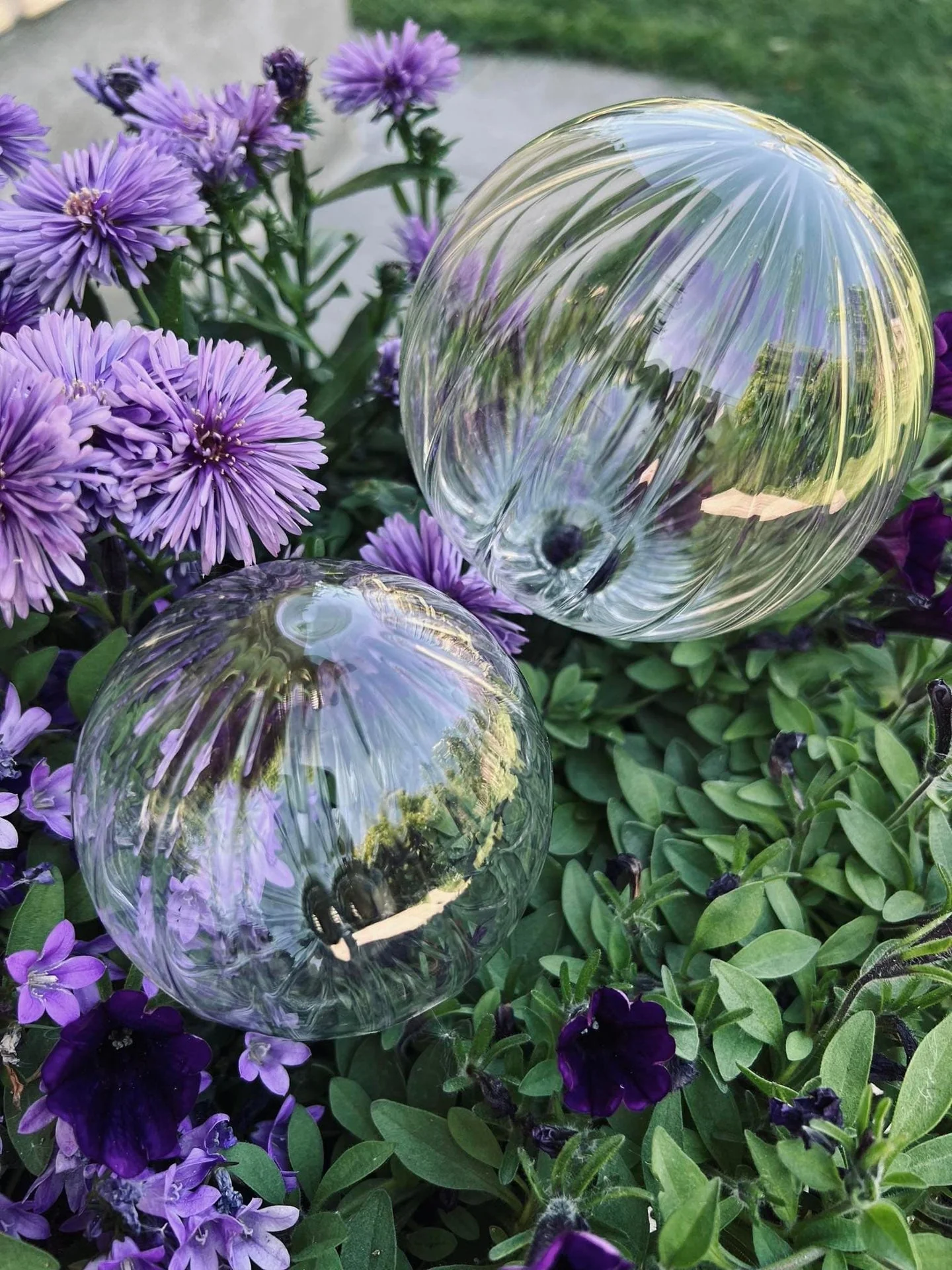 Kuler i klart glass - Sett med 2 stk for vanning av blomster