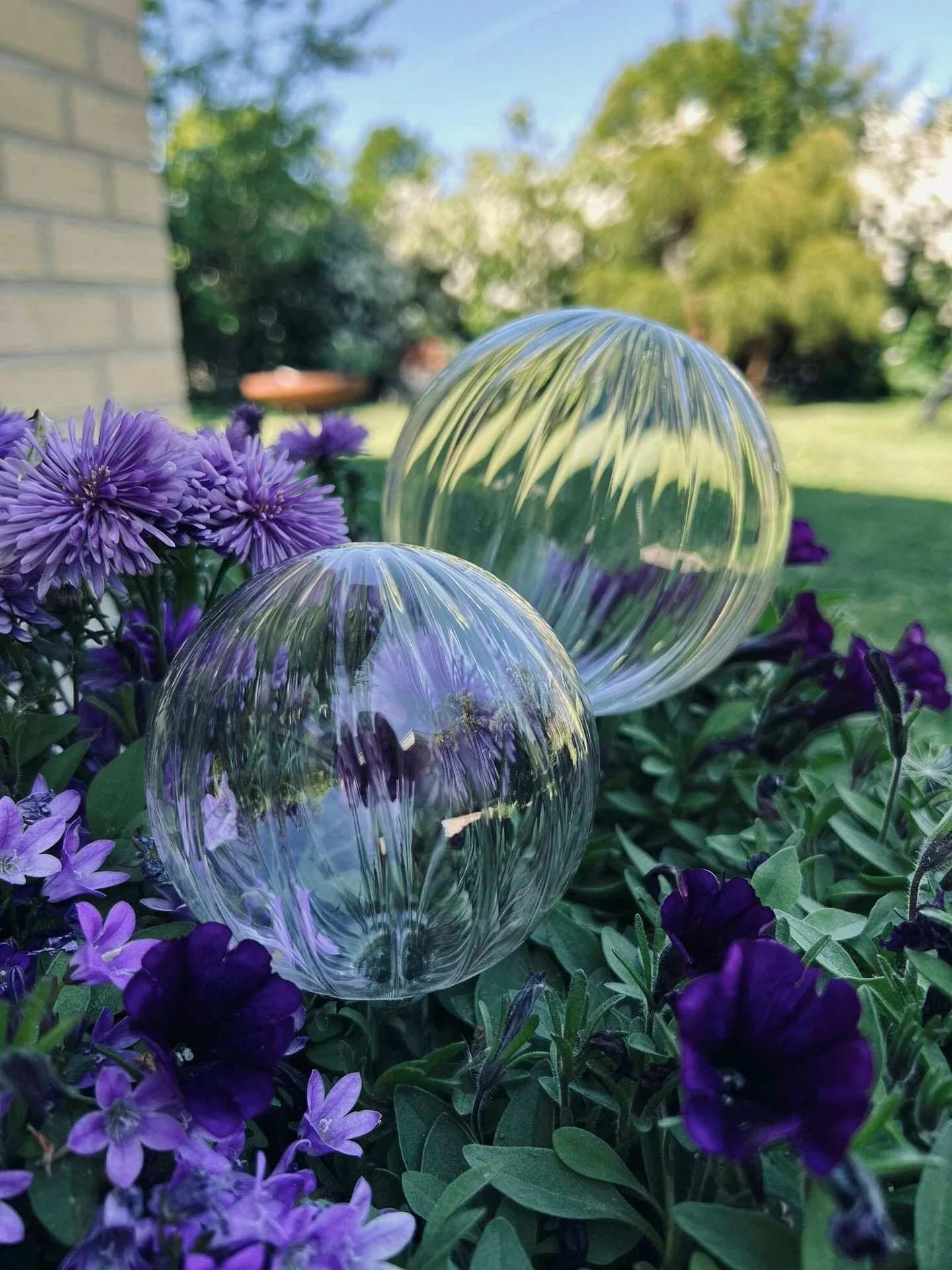 Kuler i klart glass - Sett med 2 stk for vanning av blomster - Image 2