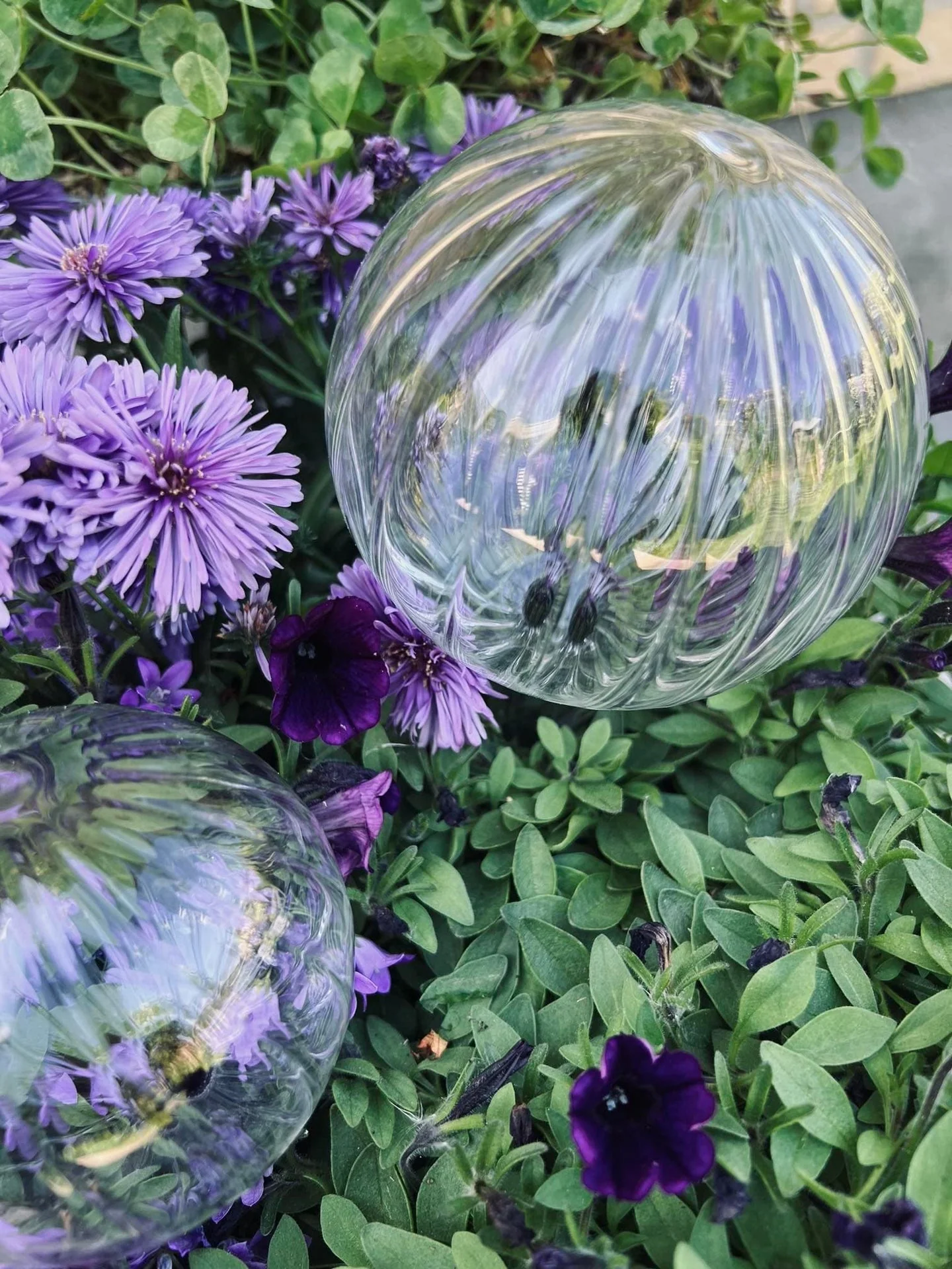 Kuler i klart glass - Sett med 2 stk for vanning av blomster - Image 3