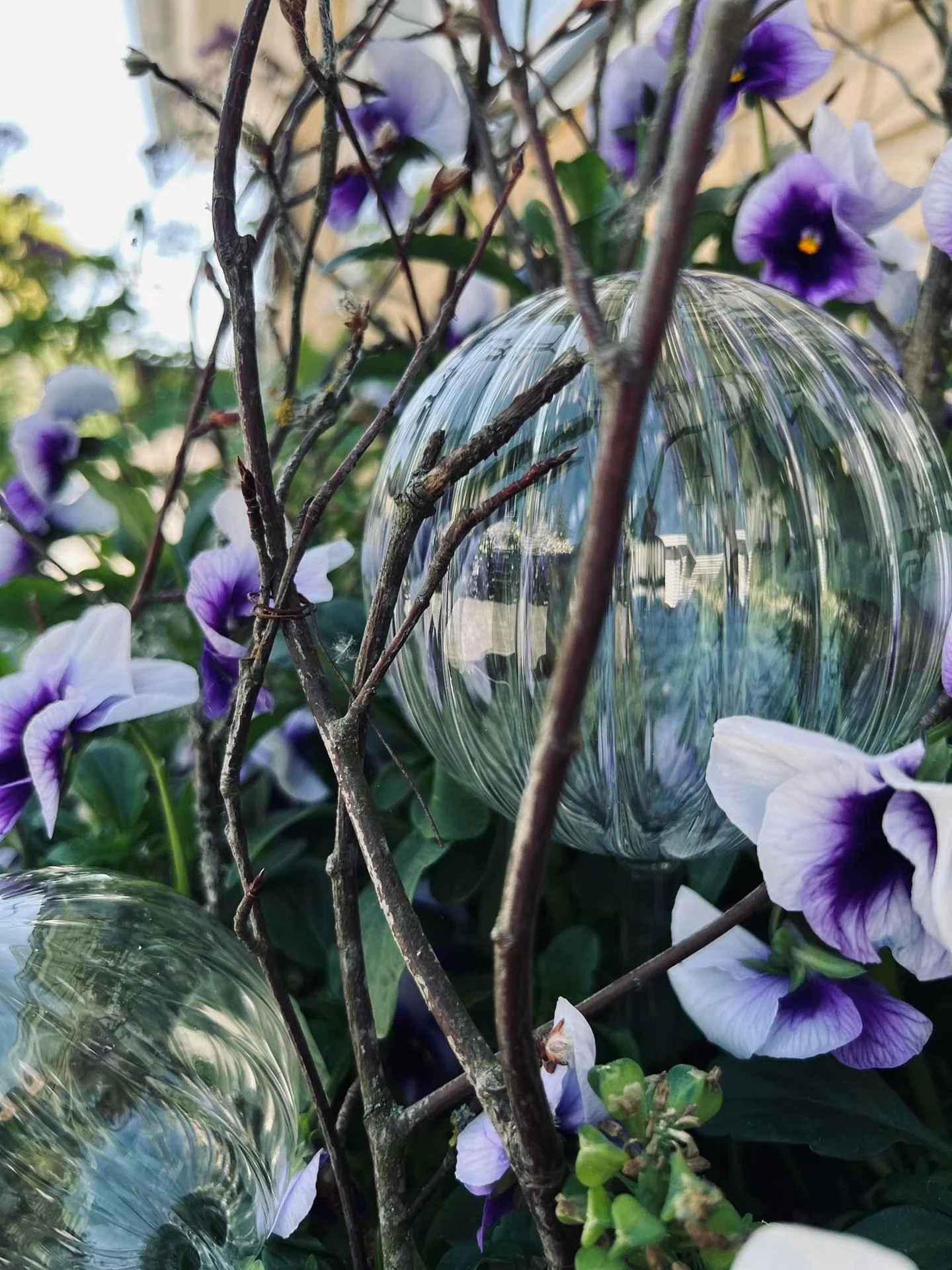 Kuler i klart glass - Sett med 2 stk for vanning av blomster - Image 5