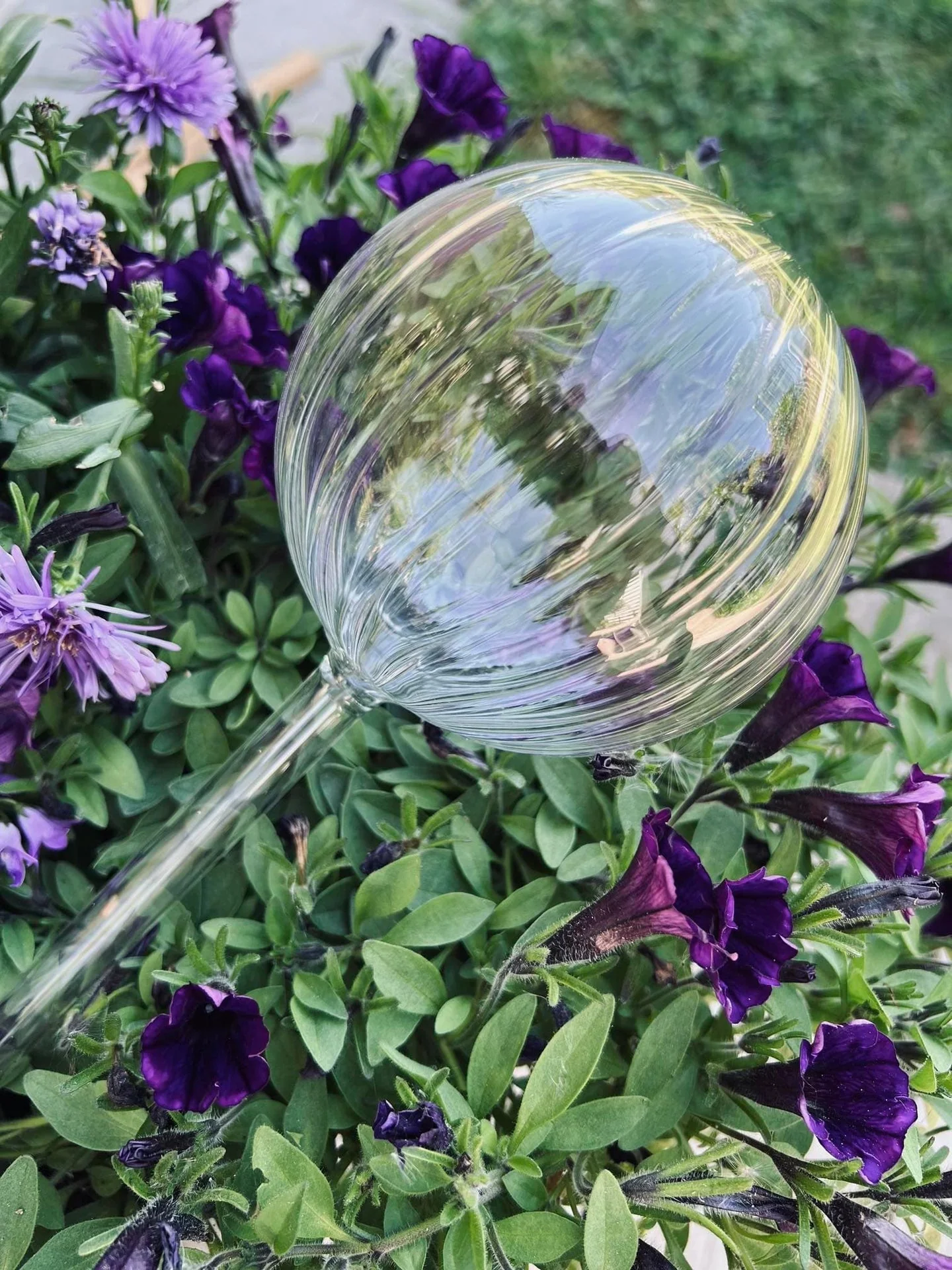 Kuler i klart glass - Sett med 2 stk for vanning av blomster - Image 8