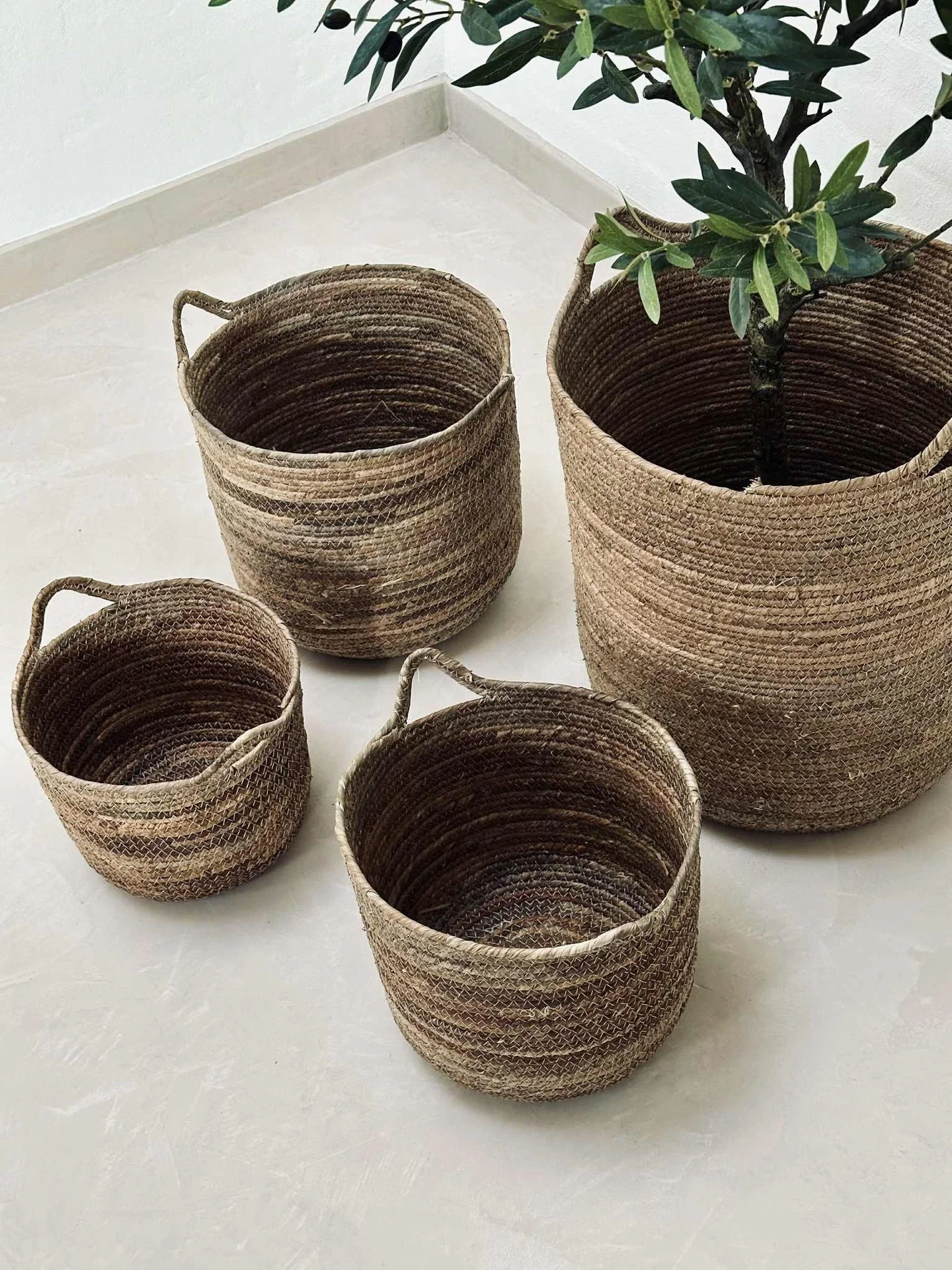 Kurver Natur - Sett med 4 stk. - Image 7