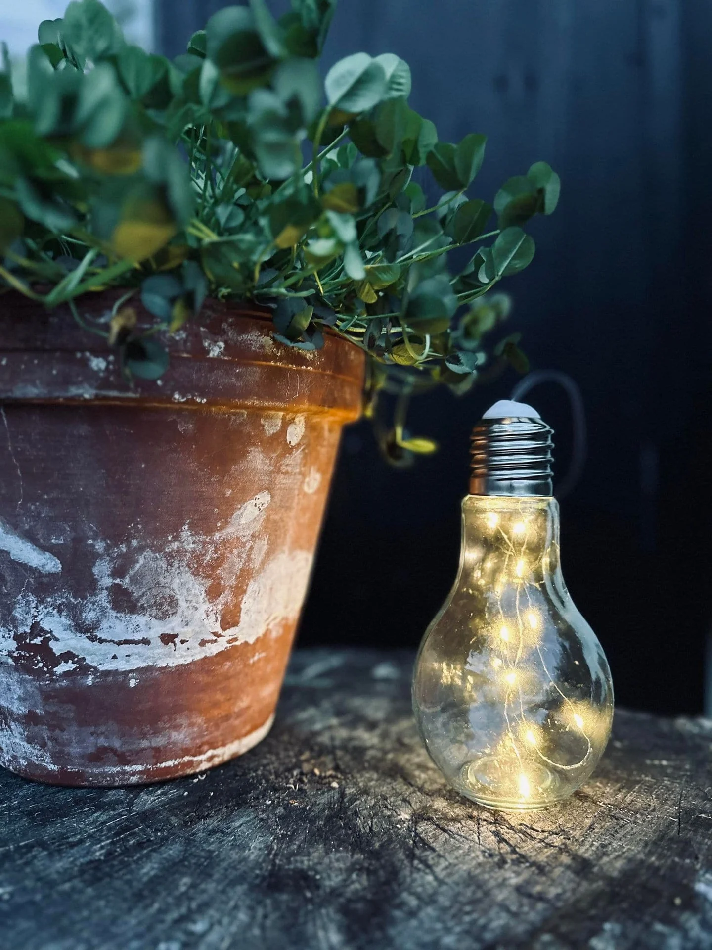 Lampe - LED-pære i glass med oppheng - Image 3